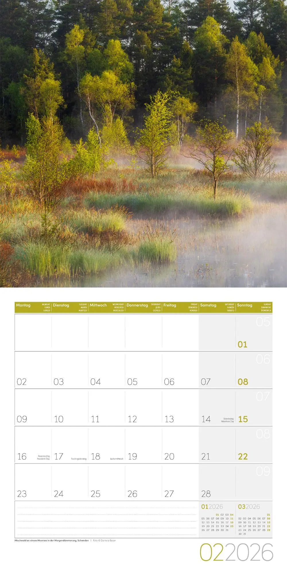 Bild: 9783838446110 | Zauber des Waldes Broschürenkalender 2026 - 30x30 - Art12 | GmbH