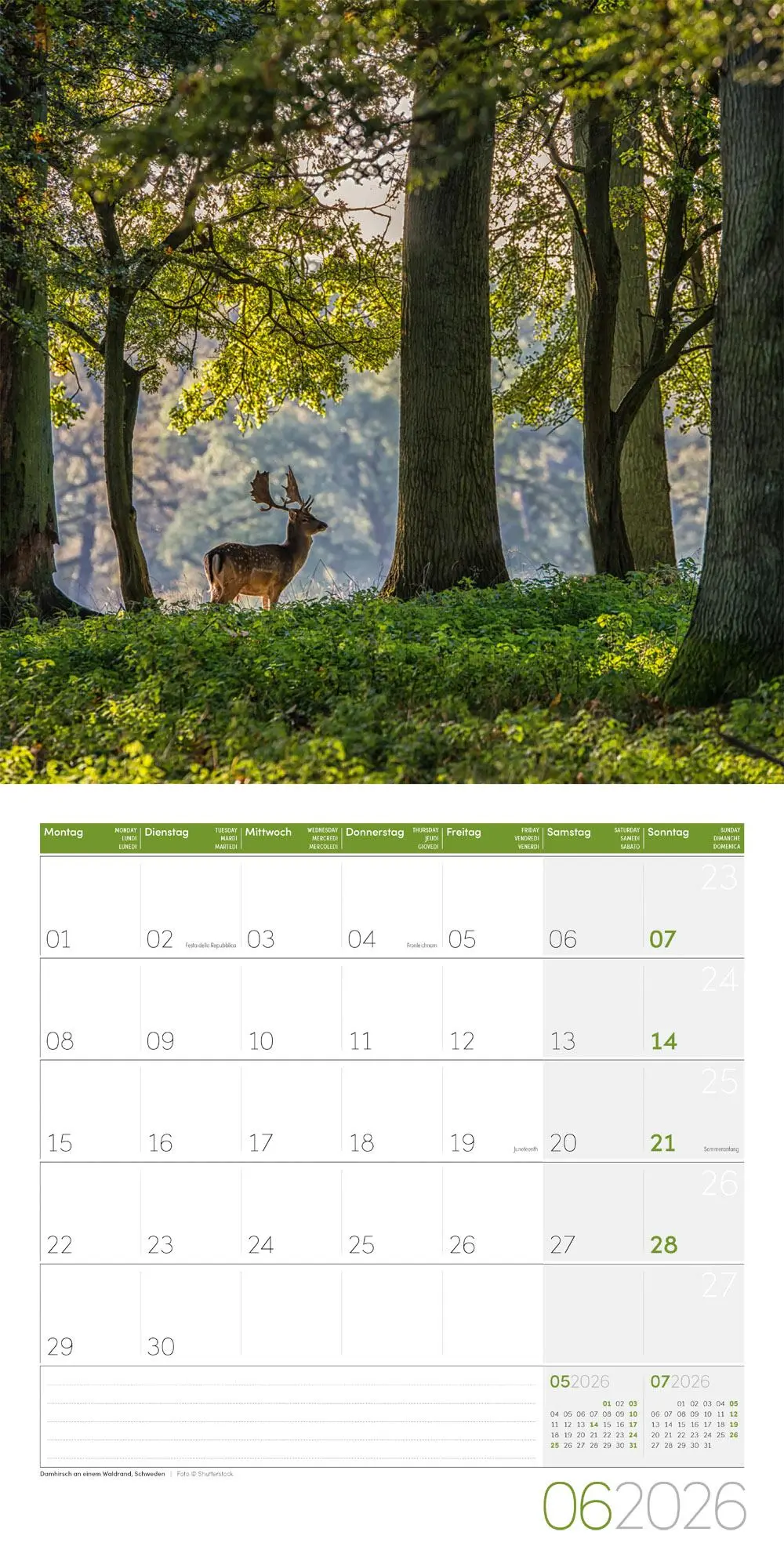 Bild: 9783838446110 | Zauber des Waldes Broschürenkalender 2026 - 30x30 - Art12 | GmbH