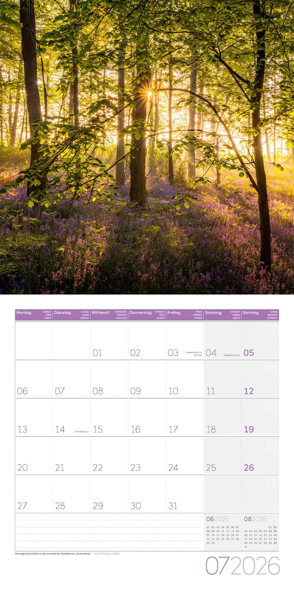 Bild: 9783838446110 | Zauber des Waldes Broschürenkalender 2026 - 30x30 - Art12 | GmbH