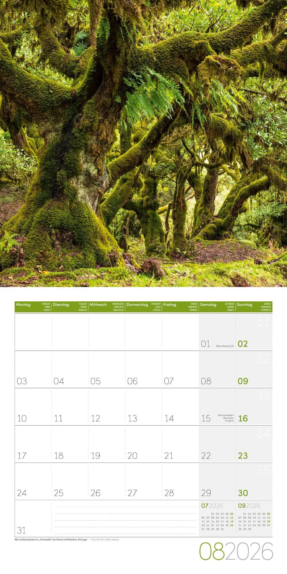 Bild: 9783838446110 | Zauber des Waldes Broschürenkalender 2026 - 30x30 - Art12 | GmbH
