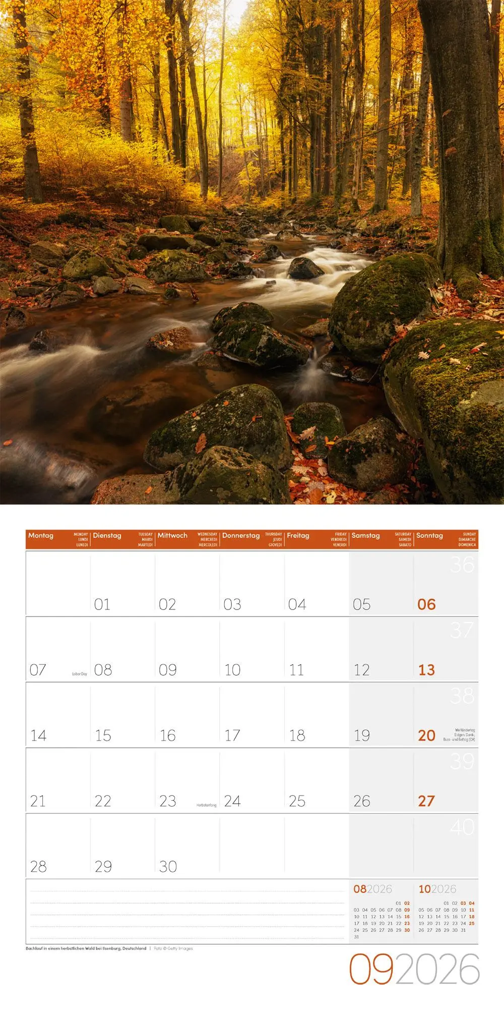 Bild: 9783838446110 | Zauber des Waldes Broschürenkalender 2026 - 30x30 - Art12 | GmbH