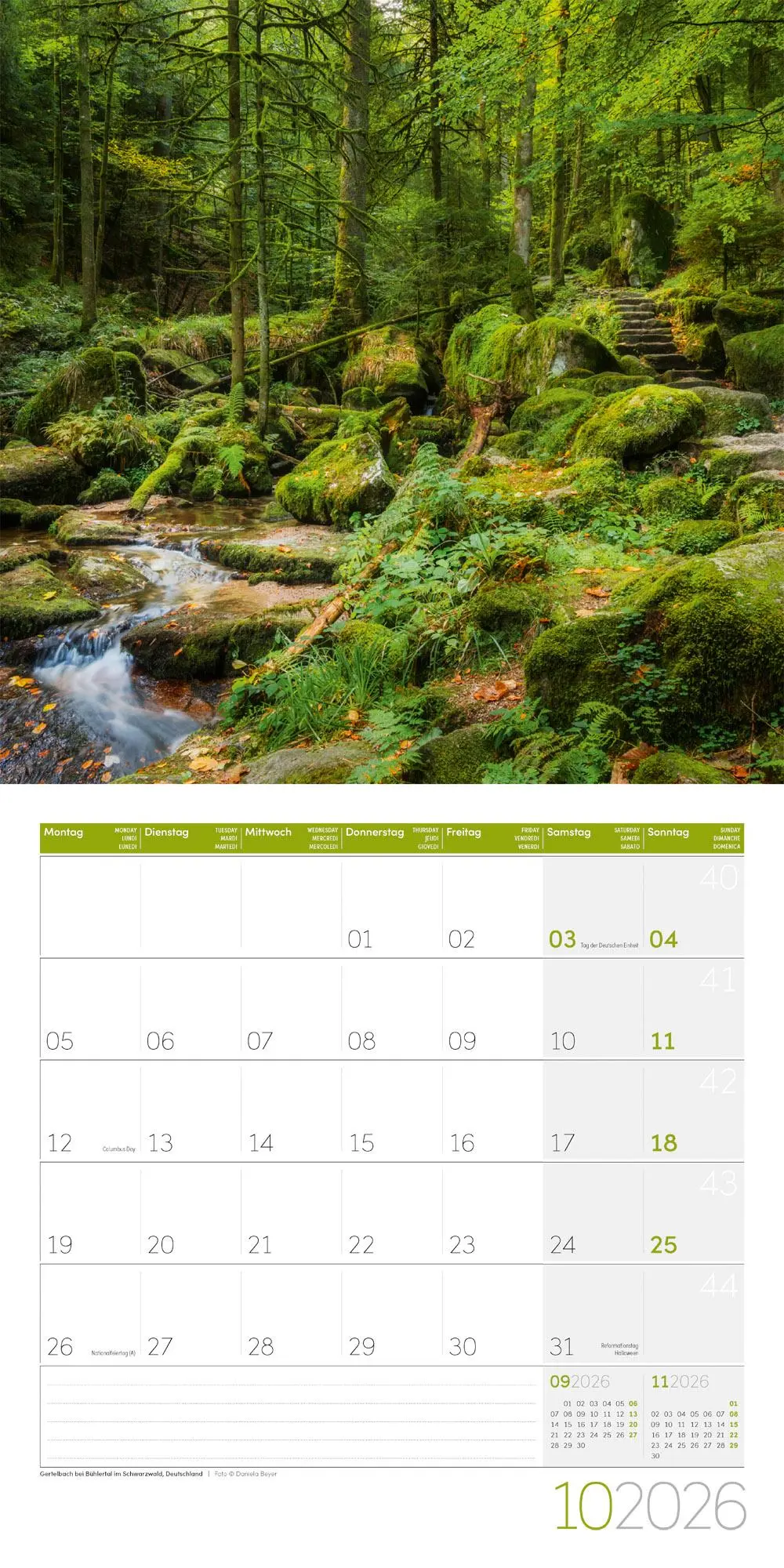 Bild: 9783838446110 | Zauber des Waldes Broschürenkalender 2026 - 30x30 - Art12 | GmbH
