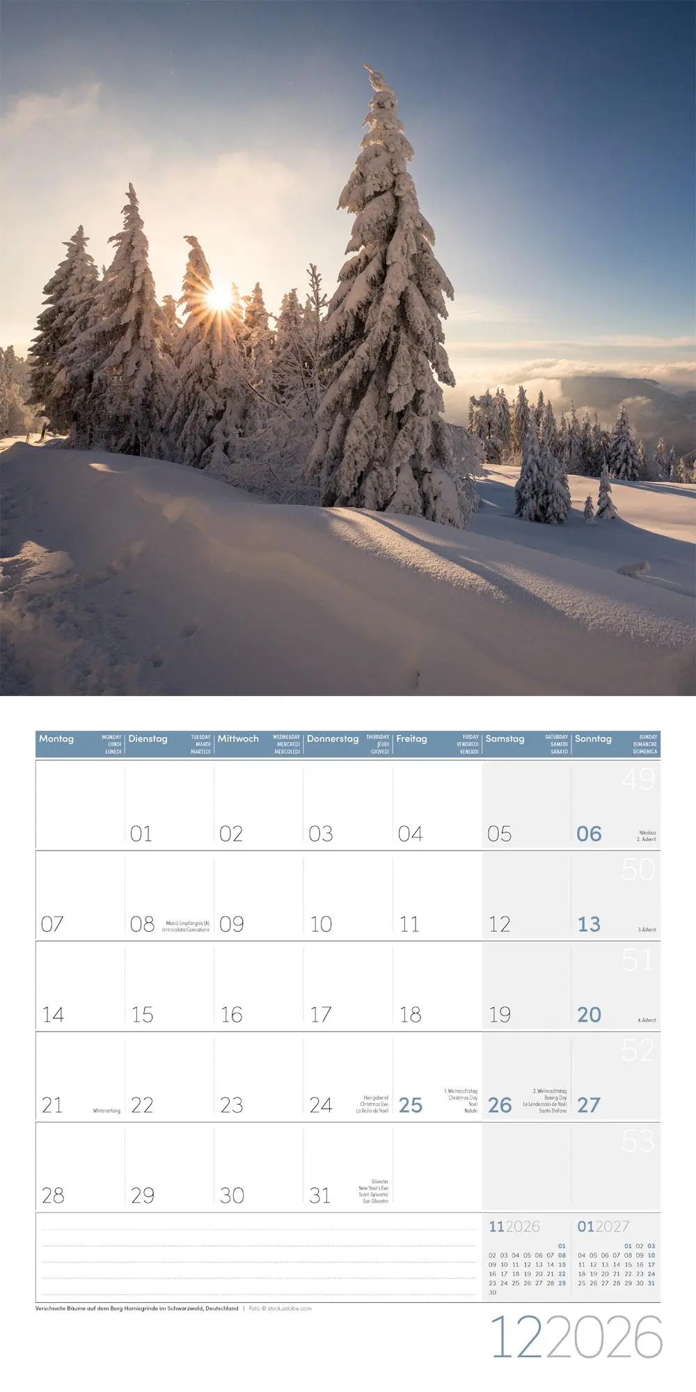 Bild: 9783838446110 | Zauber des Waldes Broschürenkalender 2026 - 30x30 - Art12 | GmbH