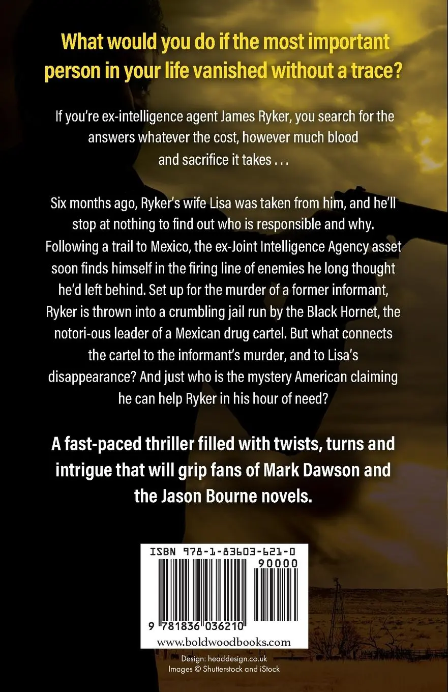 Rückseite: 9781836036210 | The Black Hornet | Rob Sinclair | Taschenbuch | Englisch | 2024