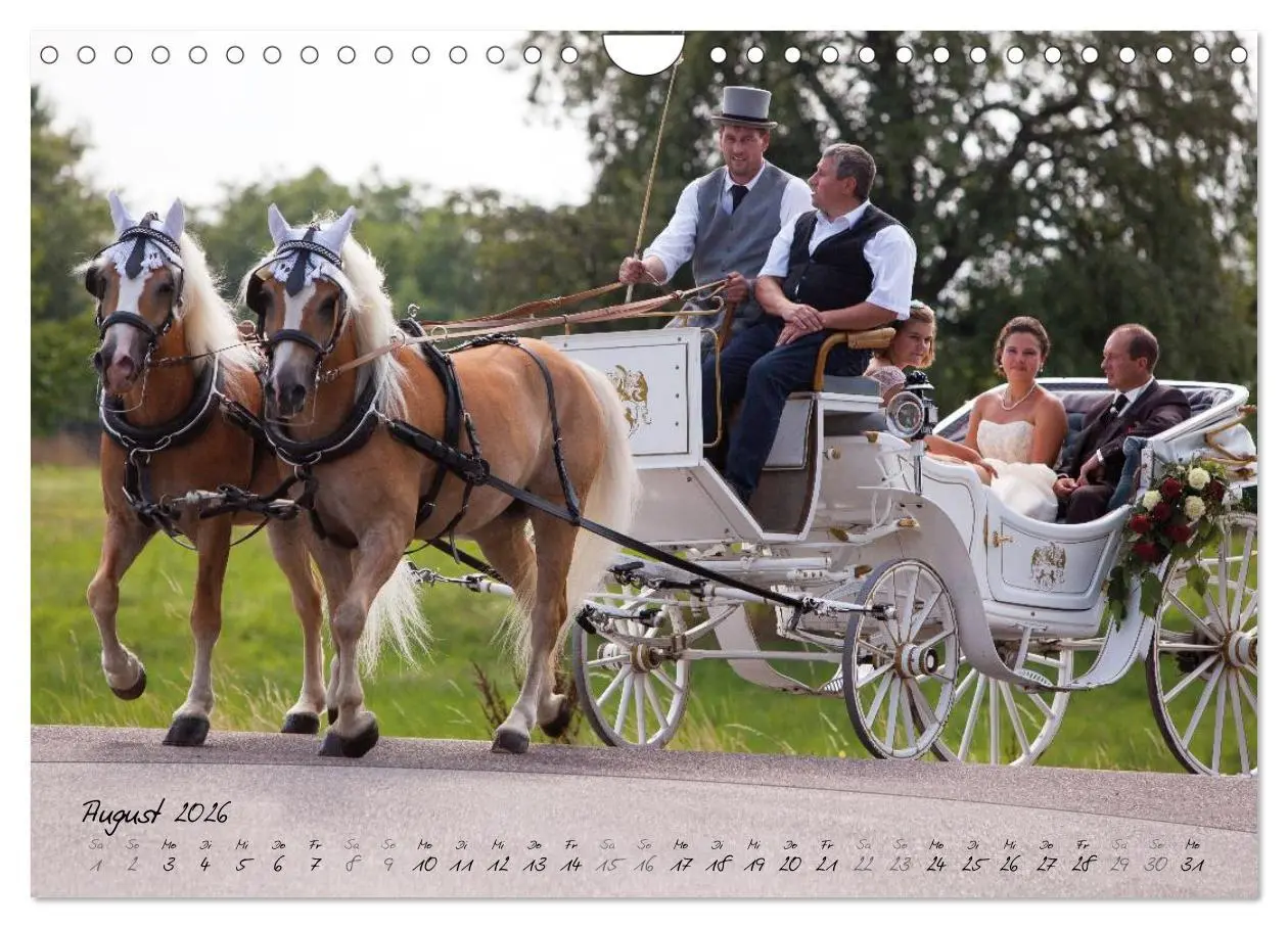 Bild: 9783457976210 | Haflinger-Pferde in Reinzucht (Wandkalender 2026 DIN A4 quer),...
