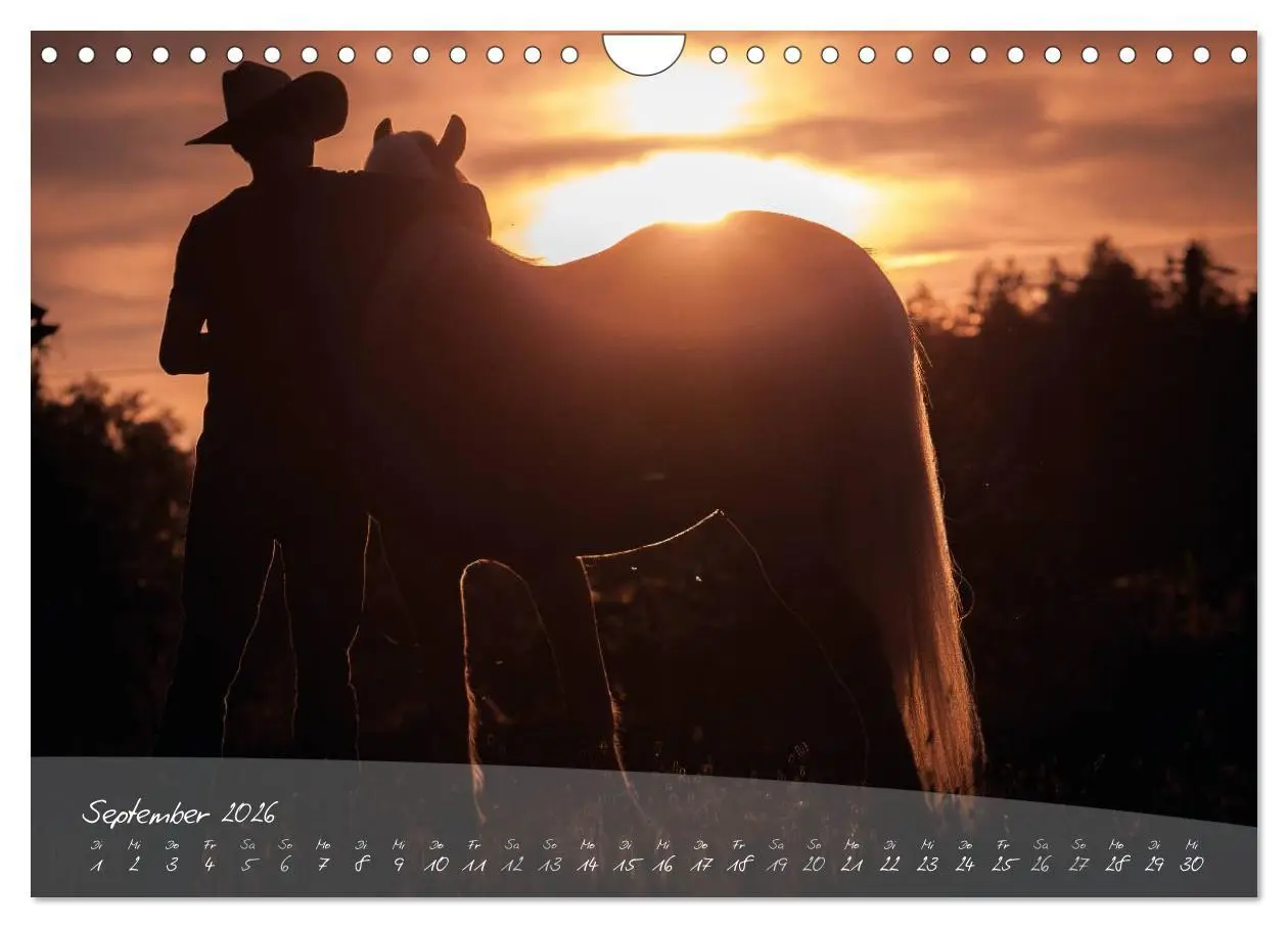 Bild: 9783457976210 | Haflinger-Pferde in Reinzucht (Wandkalender 2026 DIN A4 quer),...