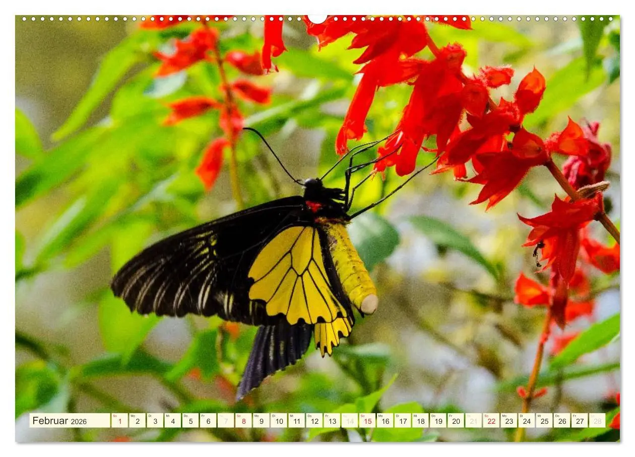 Bild: 9783516066210 | Unterwegs in Malaysia (hochwertiger Premium Wandkalender 2026 DIN...