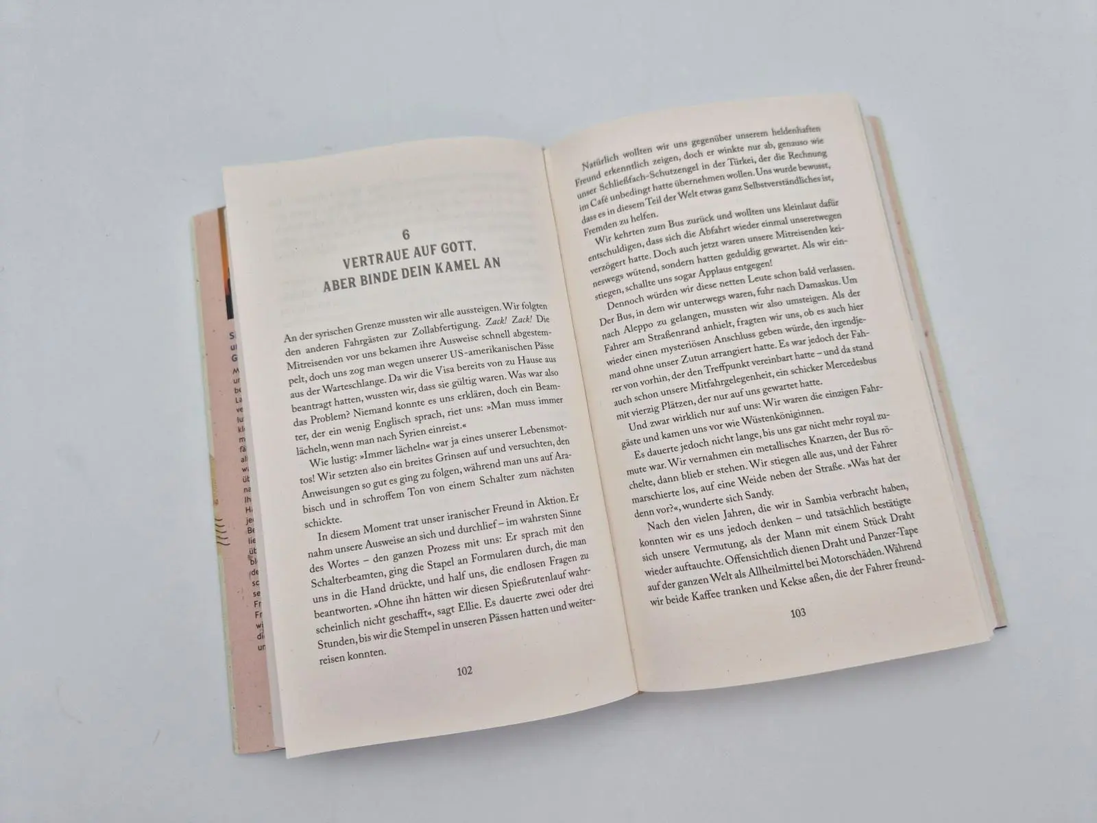 Bild: 9783890296210 | The traveling Nanas - Here we go | Eleanor Hamby (u. a.) | Buch | 2026