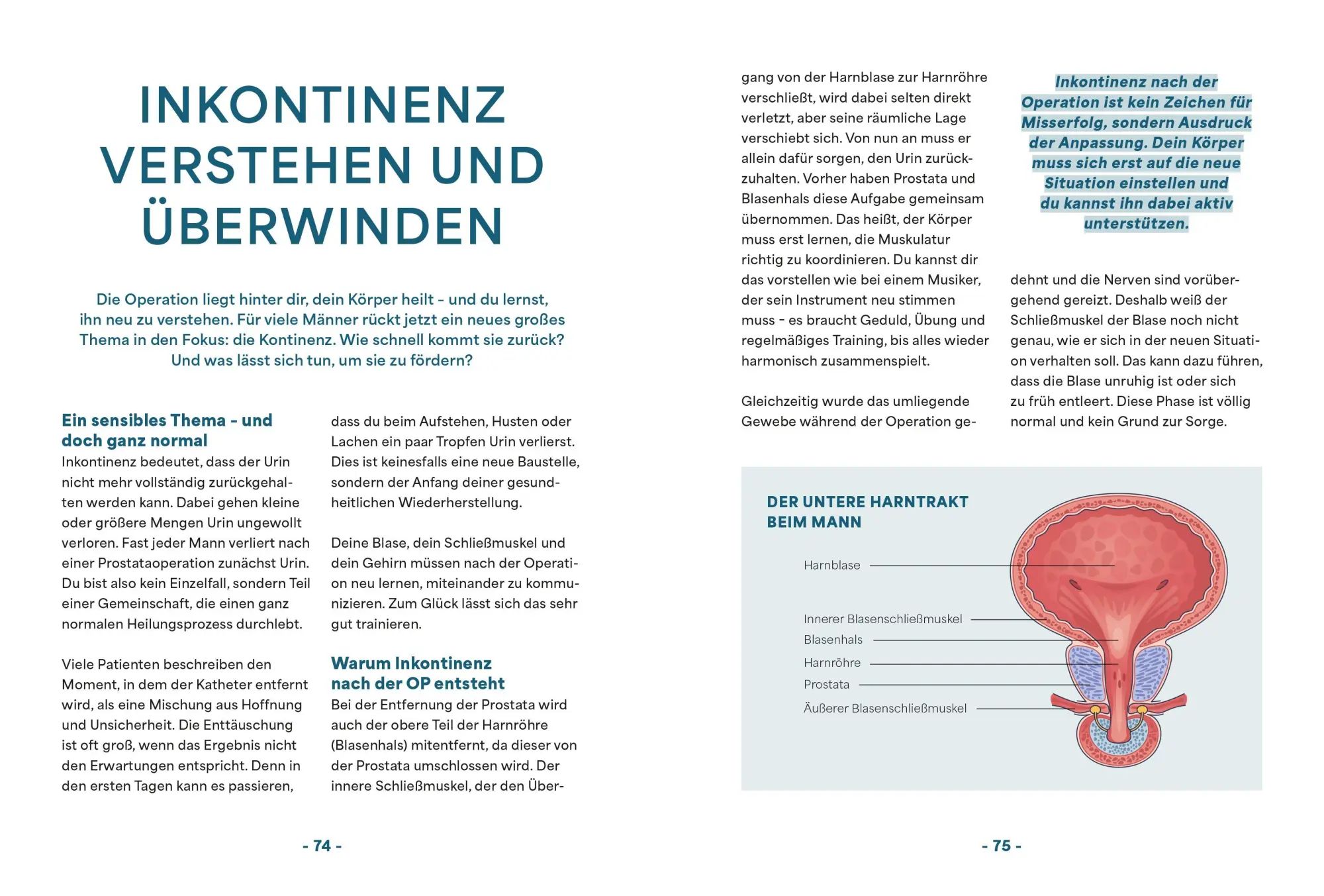 Bild: 9783965846210 | Prostatakrebs - Dein Wegweiser zur richtigen Behandlung | Mumm (u. a.)