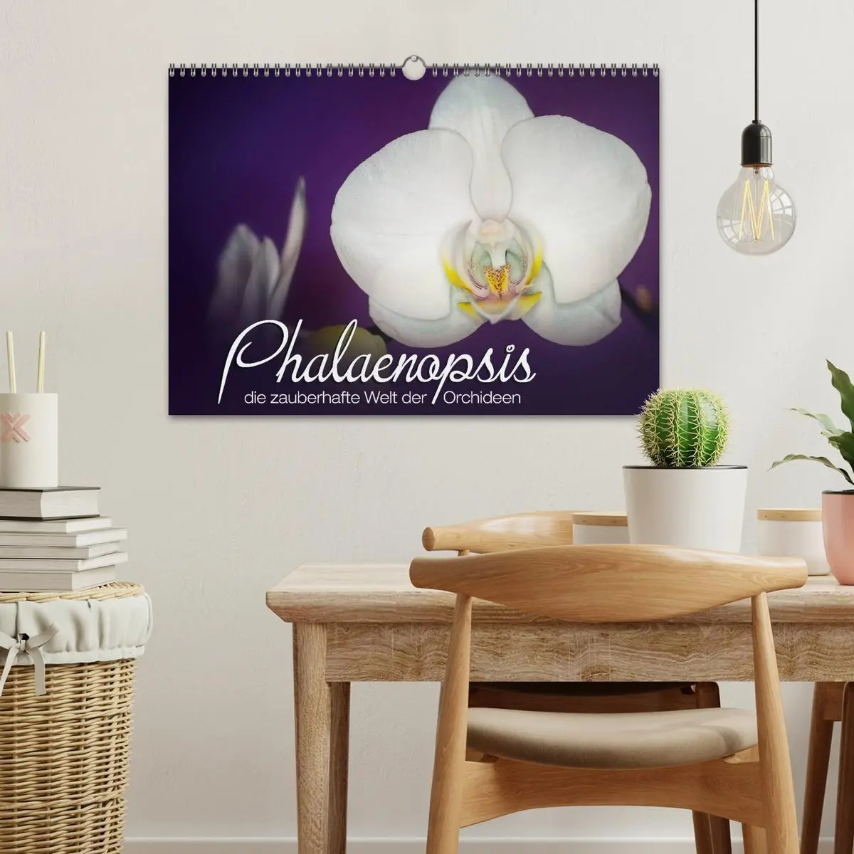 Bild: 9783516126310 | Phalaenopsis - die zauberhafte Welt der Orchideen (Wandkalender...