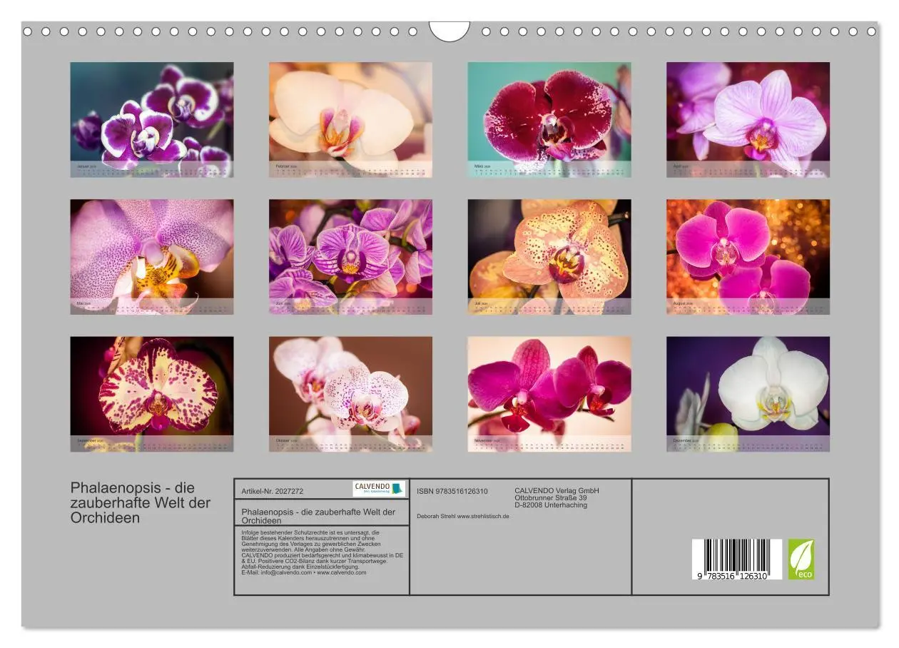 Bild: 9783516126310 | Phalaenopsis - die zauberhafte Welt der Orchideen (Wandkalender...