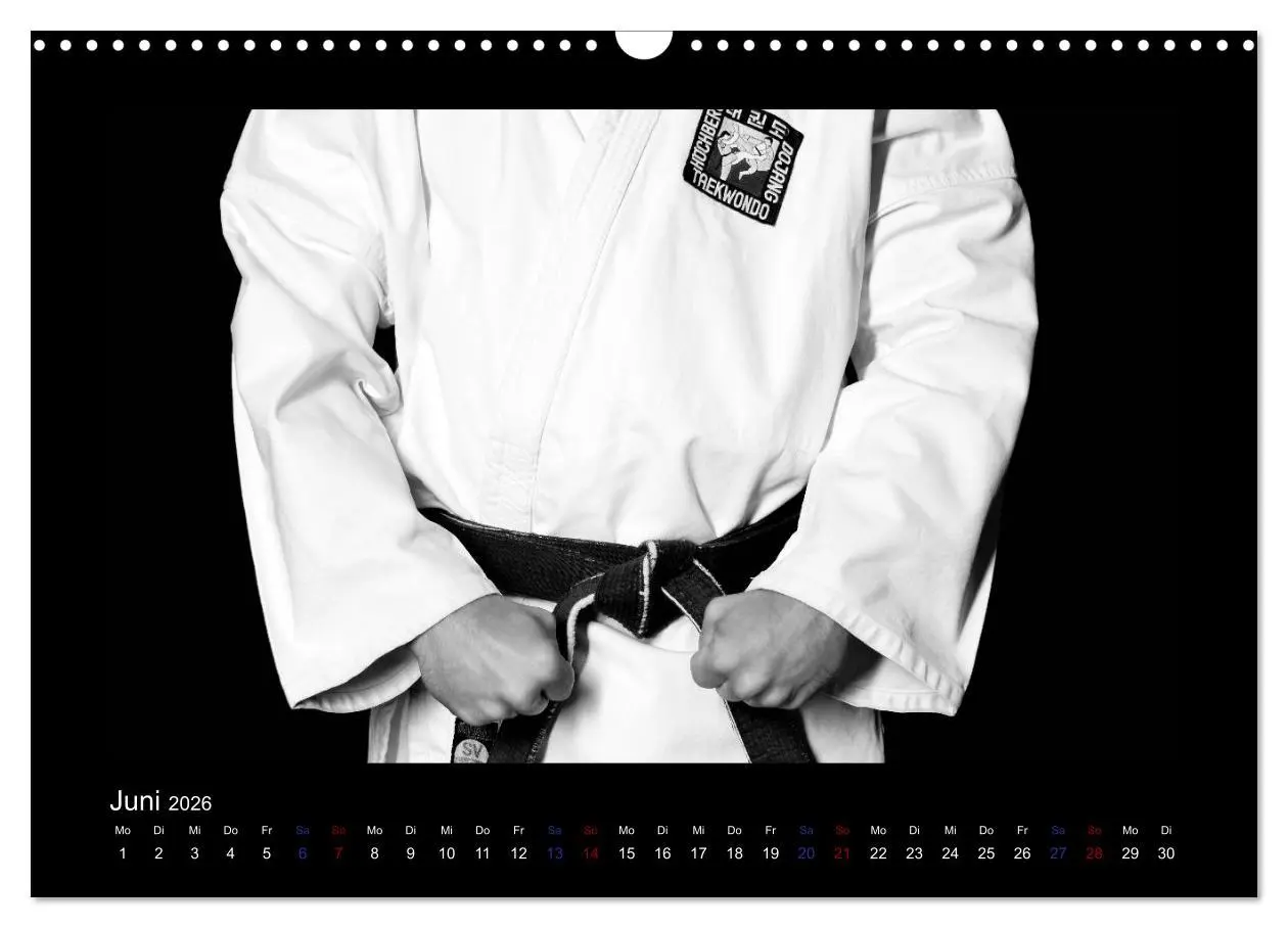Bild: 9783457886410 | Traditionelles Taekwon-Do (Wandkalender 2026 DIN A3 quer), CALVENDO...