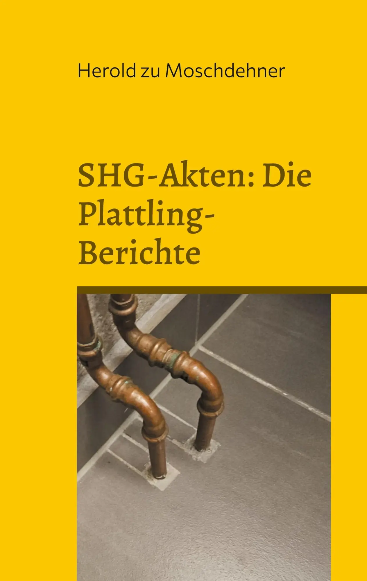Cover: 9783769356410 | SHG-Akten: Die Plattling-Berichte | Außerirdische aus Fremddimensionen