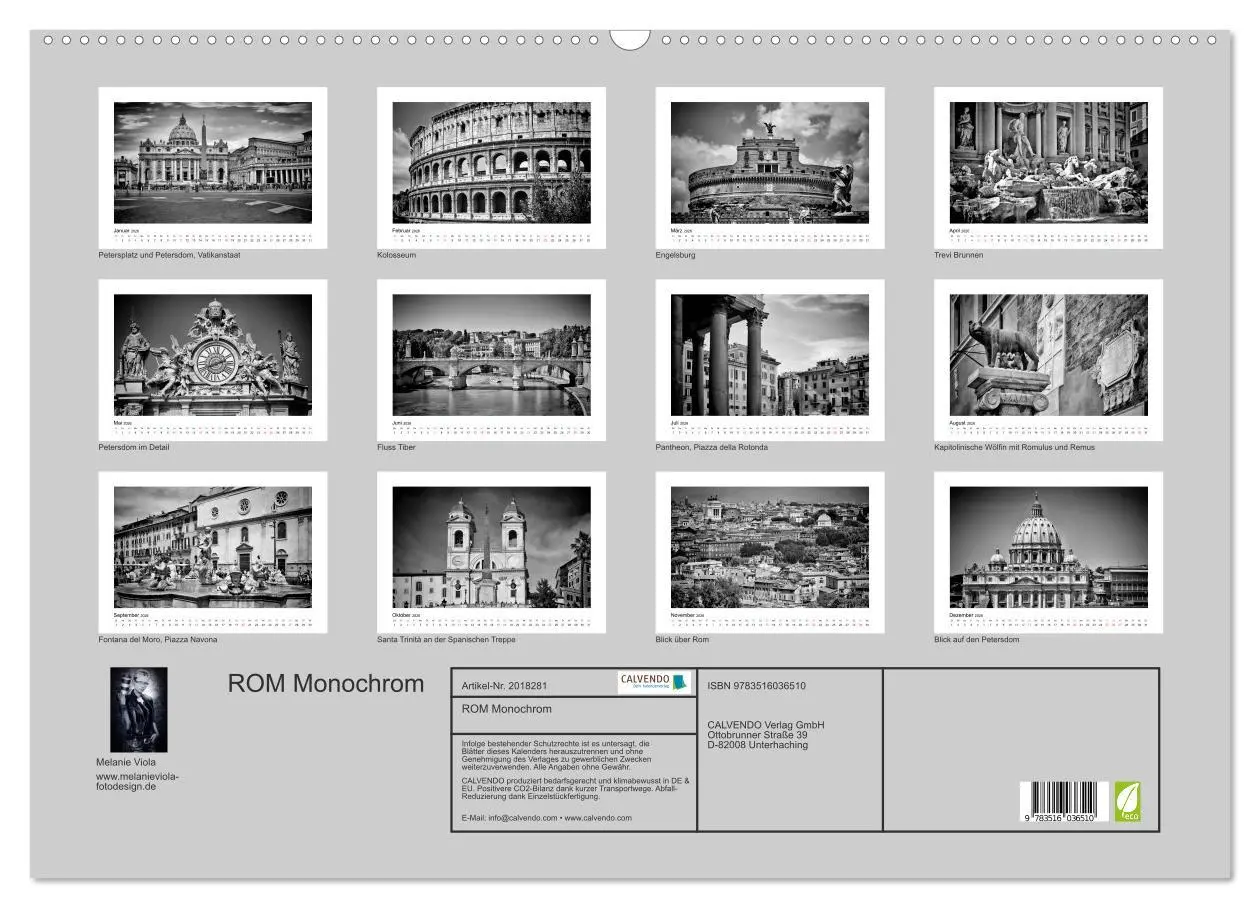 Bild: 9783516036510 | ROM Monochrom (Wandkalender 2026 DIN A2 quer), CALVENDO Monatskalender