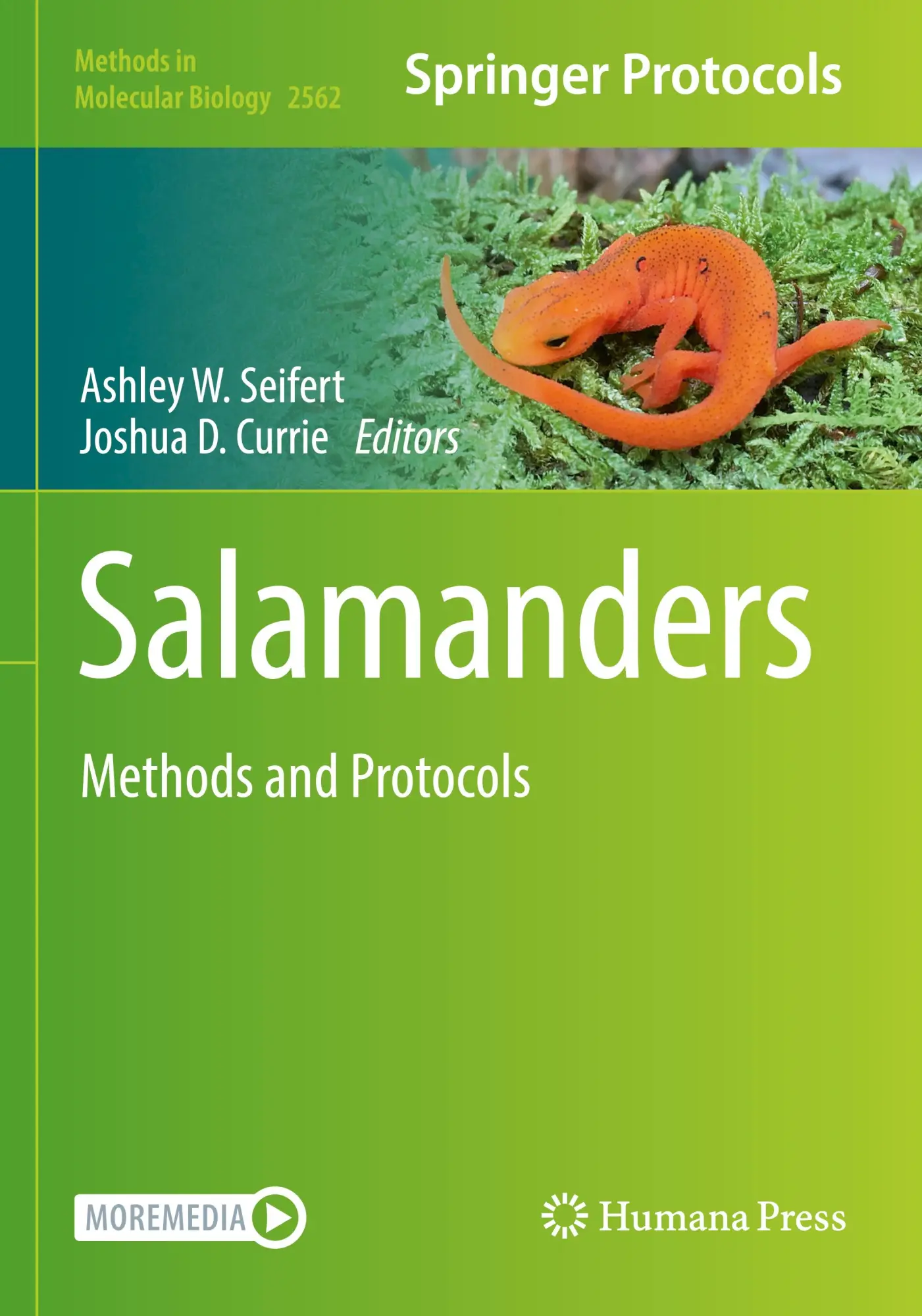 Cover: 9781071626610 | Salamanders | Methods and Protocols | Ashley W. Seifert (u. a.) | Buch