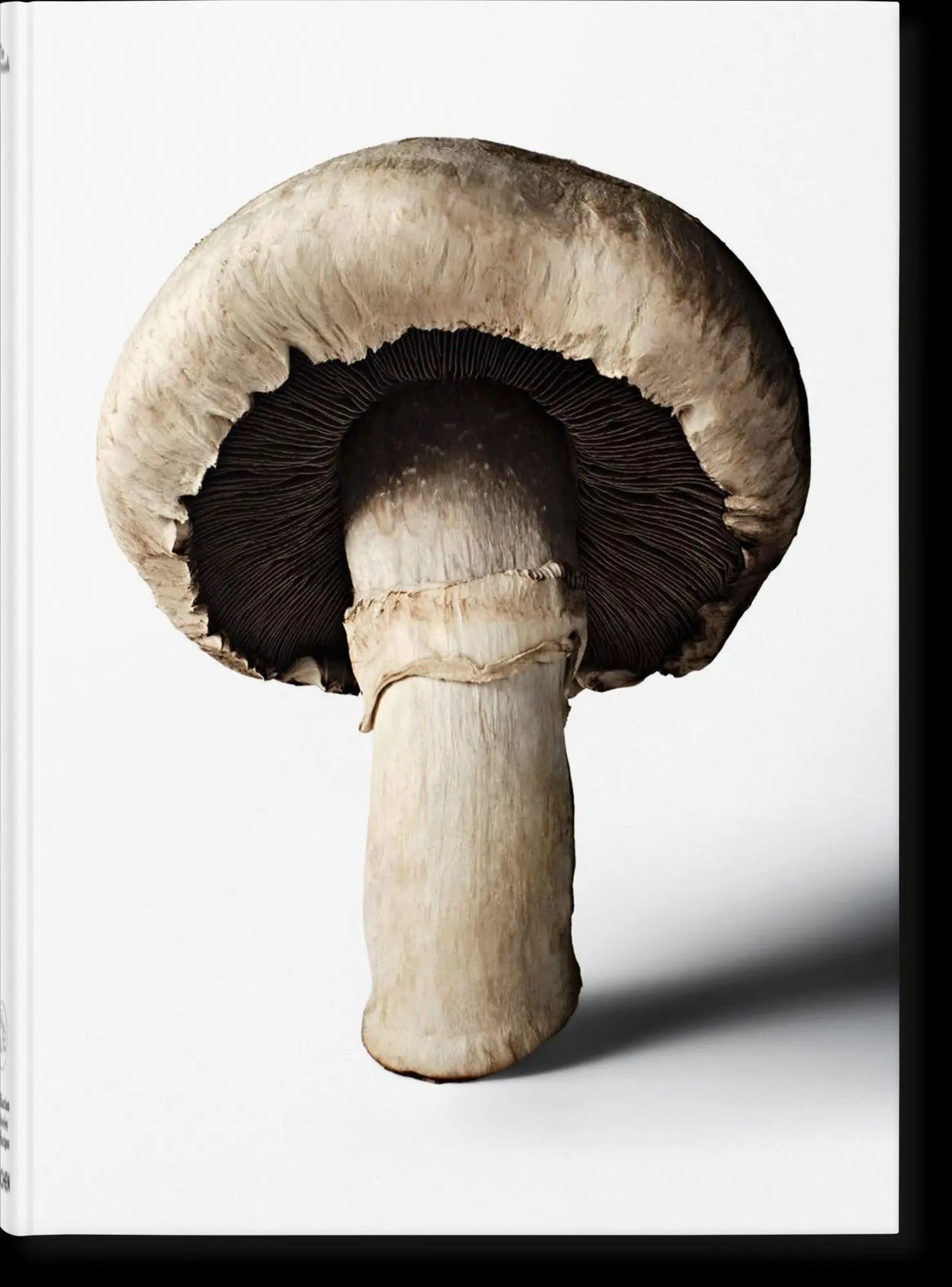 Cover: 9783836586610 | The Gourmand's Mushroom | A Collection of Stories and Recipes | Buch