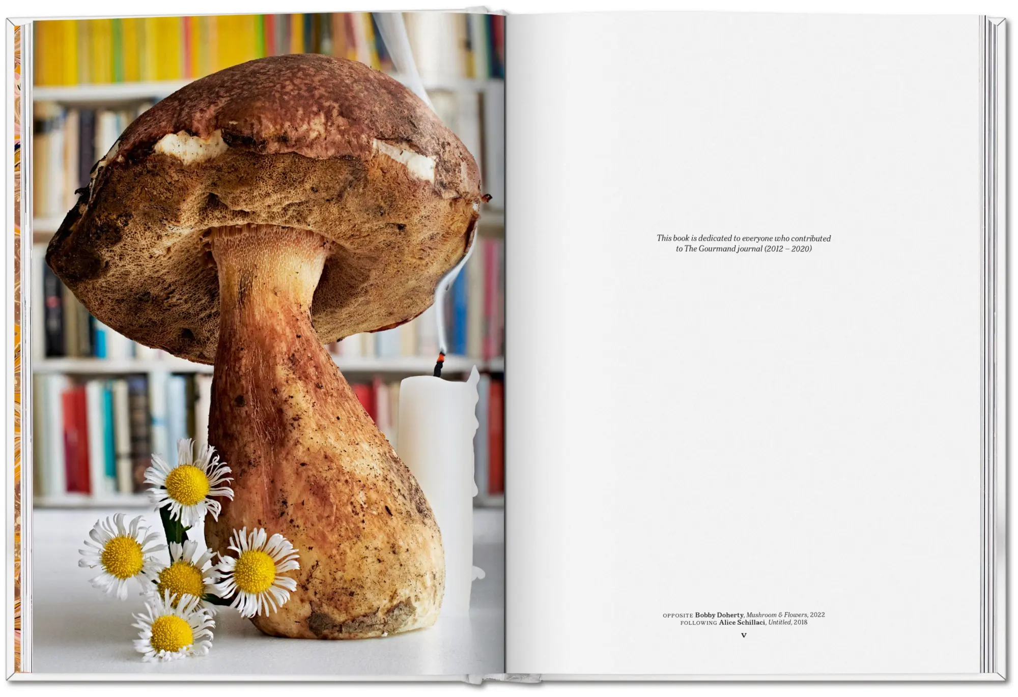 Bild: 9783836586610 | The Gourmand's Mushroom | A Collection of Stories and Recipes | Buch