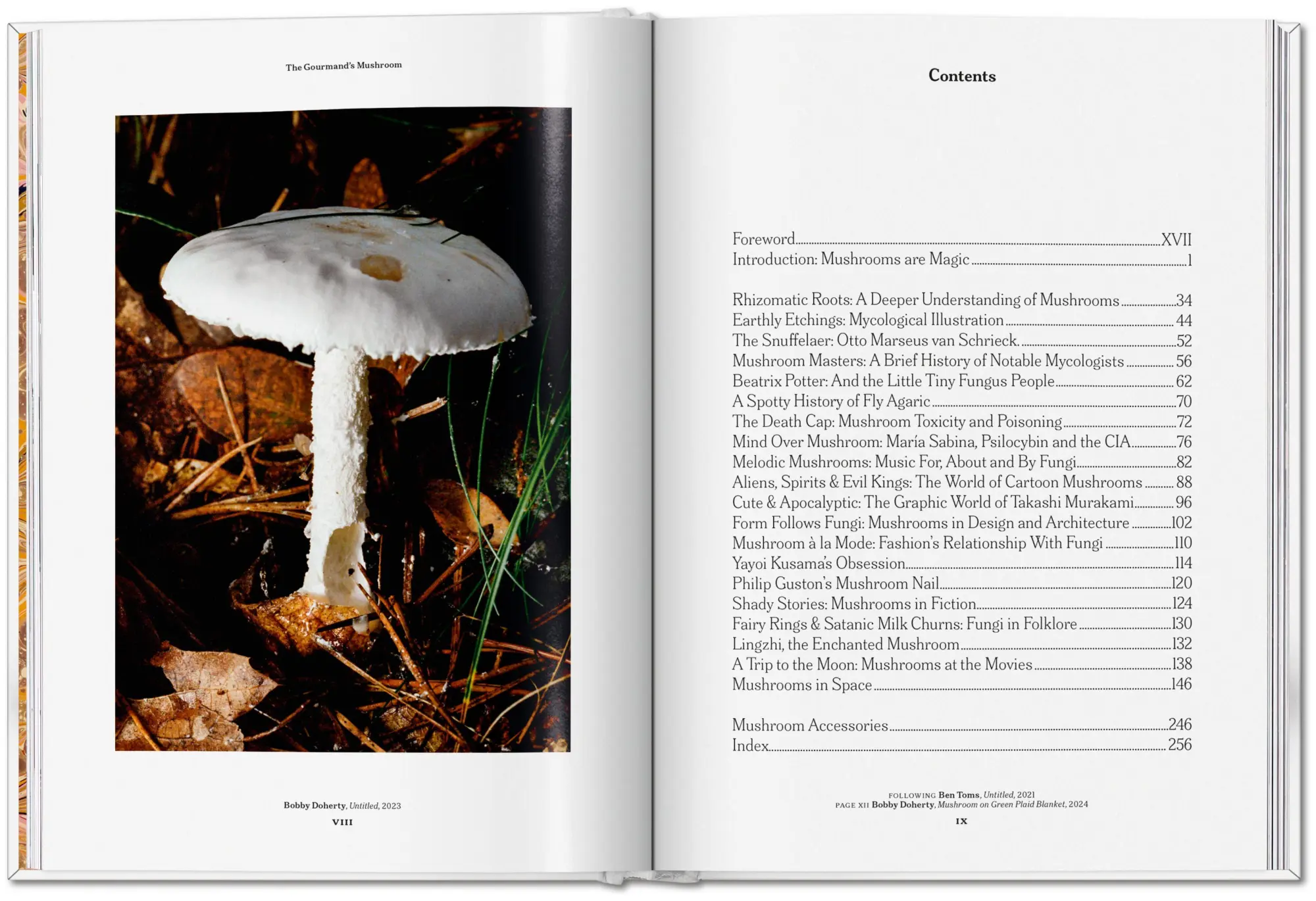 Bild: 9783836586610 | The Gourmand's Mushroom | A Collection of Stories and Recipes | Buch
