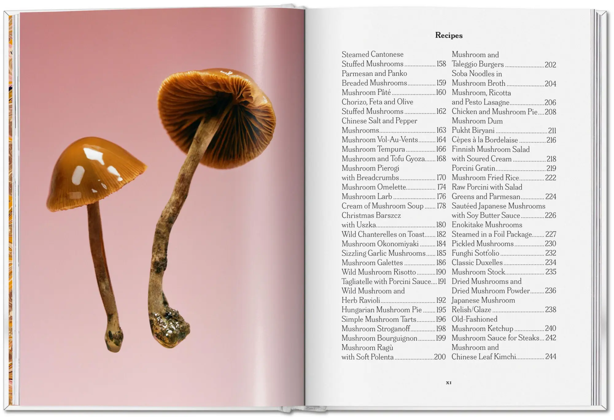 Bild: 9783836586610 | The Gourmand's Mushroom | A Collection of Stories and Recipes | Buch