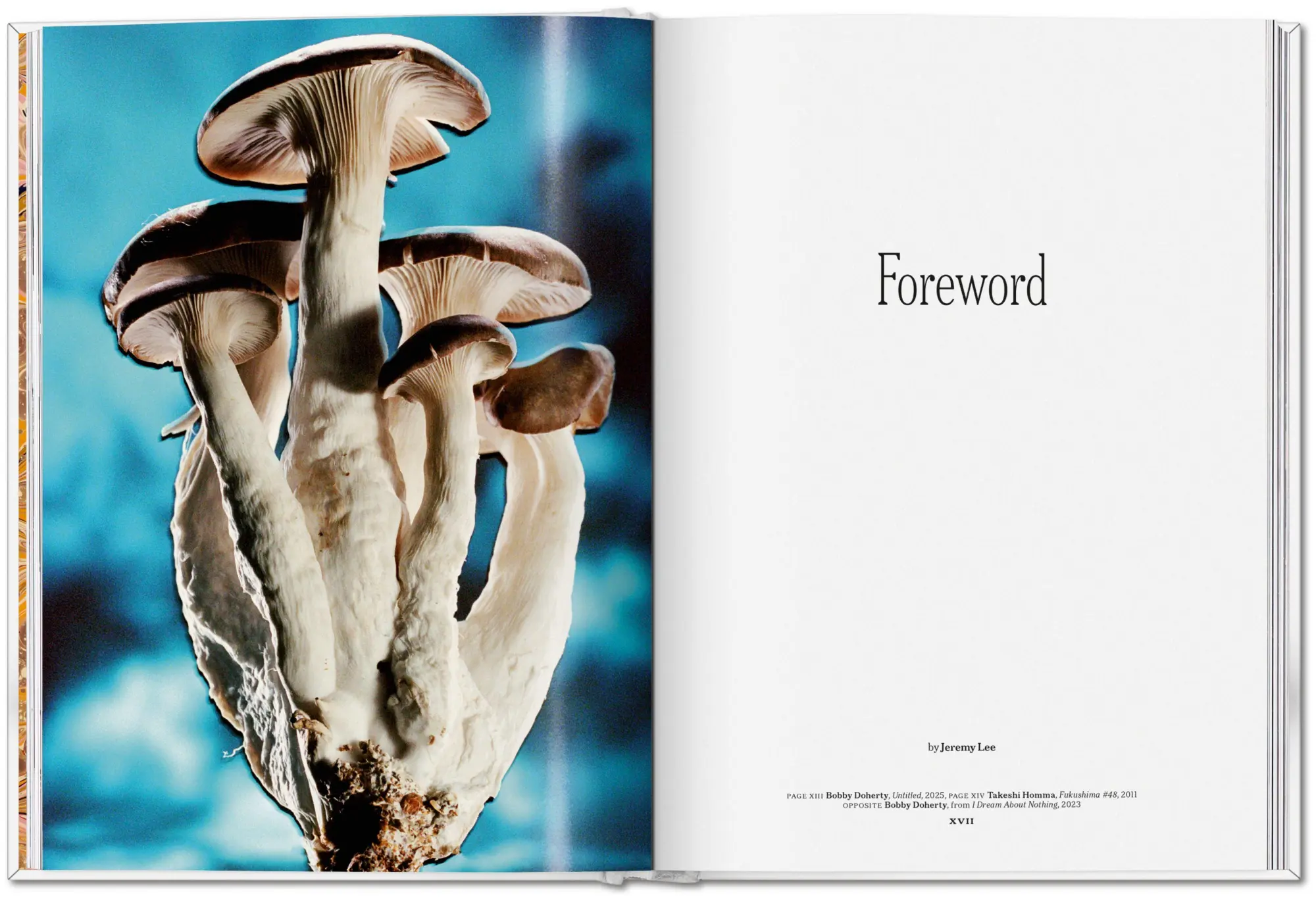 Bild: 9783836586610 | The Gourmand's Mushroom | A Collection of Stories and Recipes | Buch