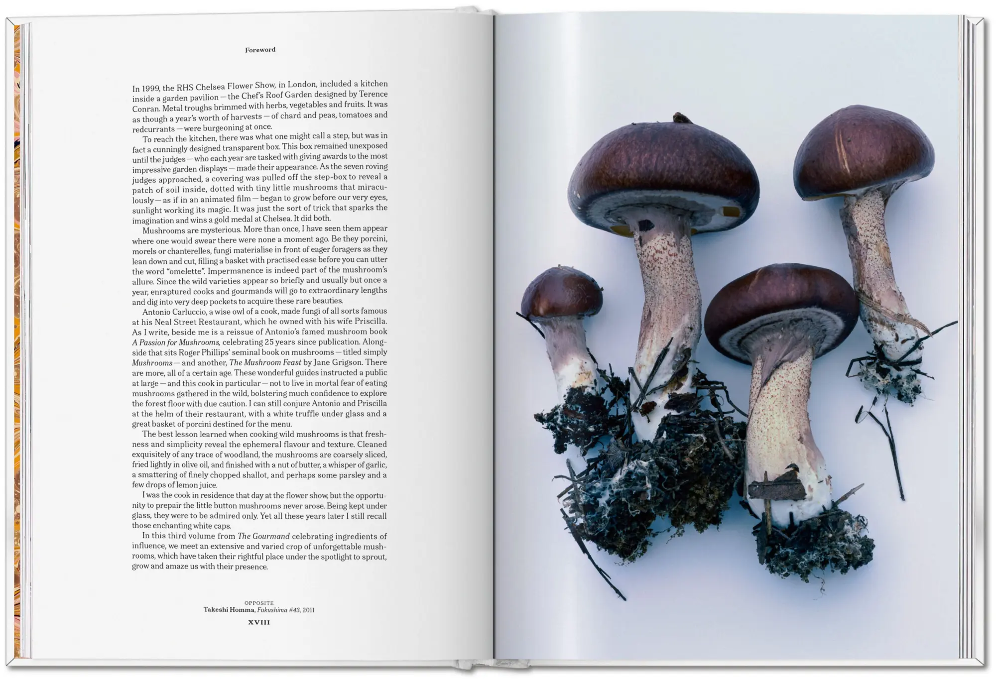 Bild: 9783836586610 | The Gourmand's Mushroom | A Collection of Stories and Recipes | Buch