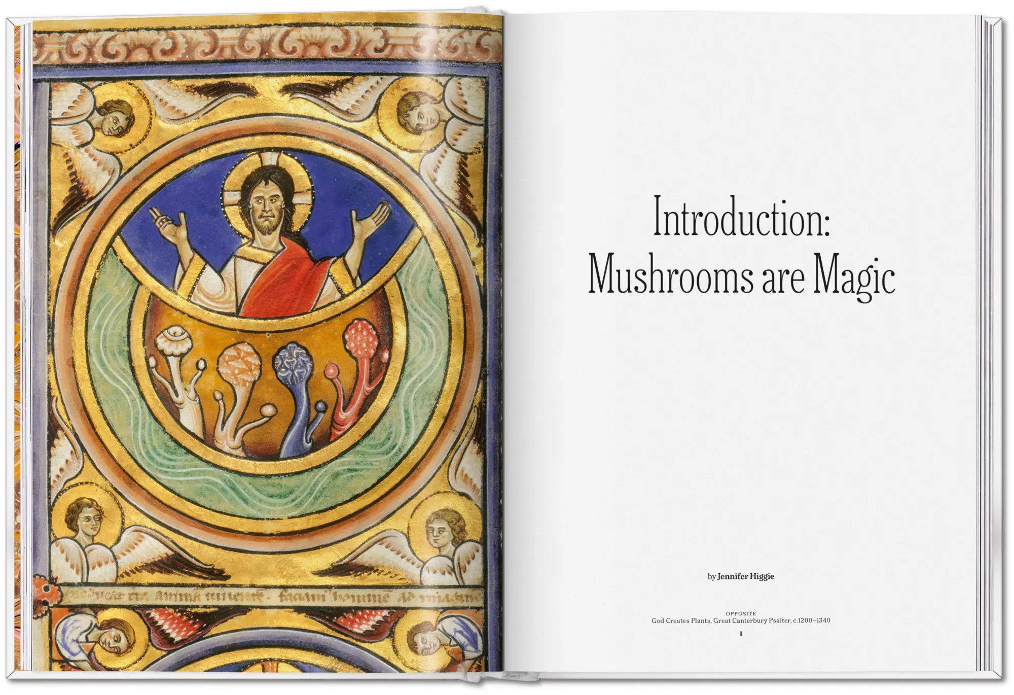 Bild: 9783836586610 | The Gourmand's Mushroom | A Collection of Stories and Recipes | Buch
