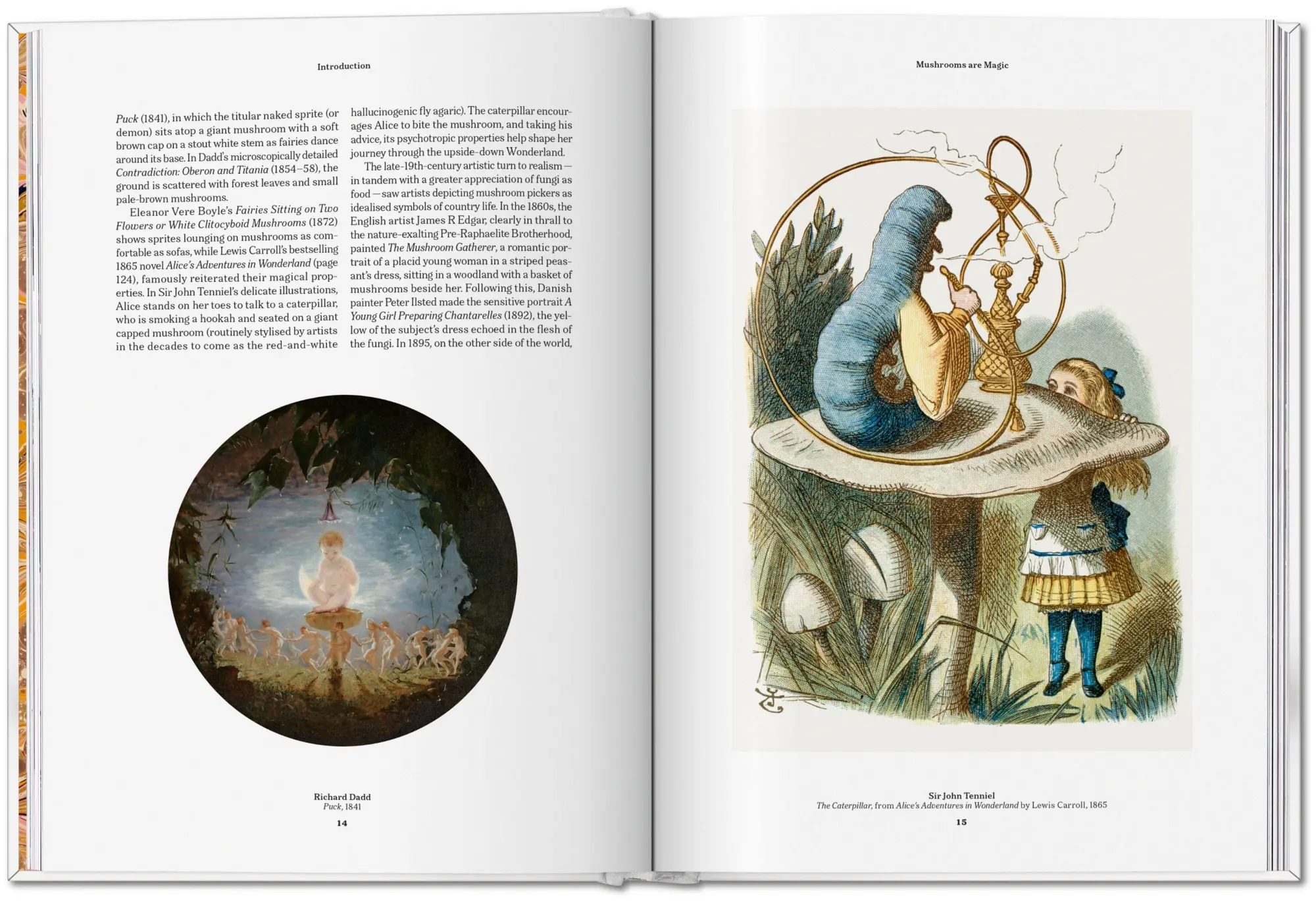 Bild: 9783836586610 | The Gourmand's Mushroom | A Collection of Stories and Recipes | Buch