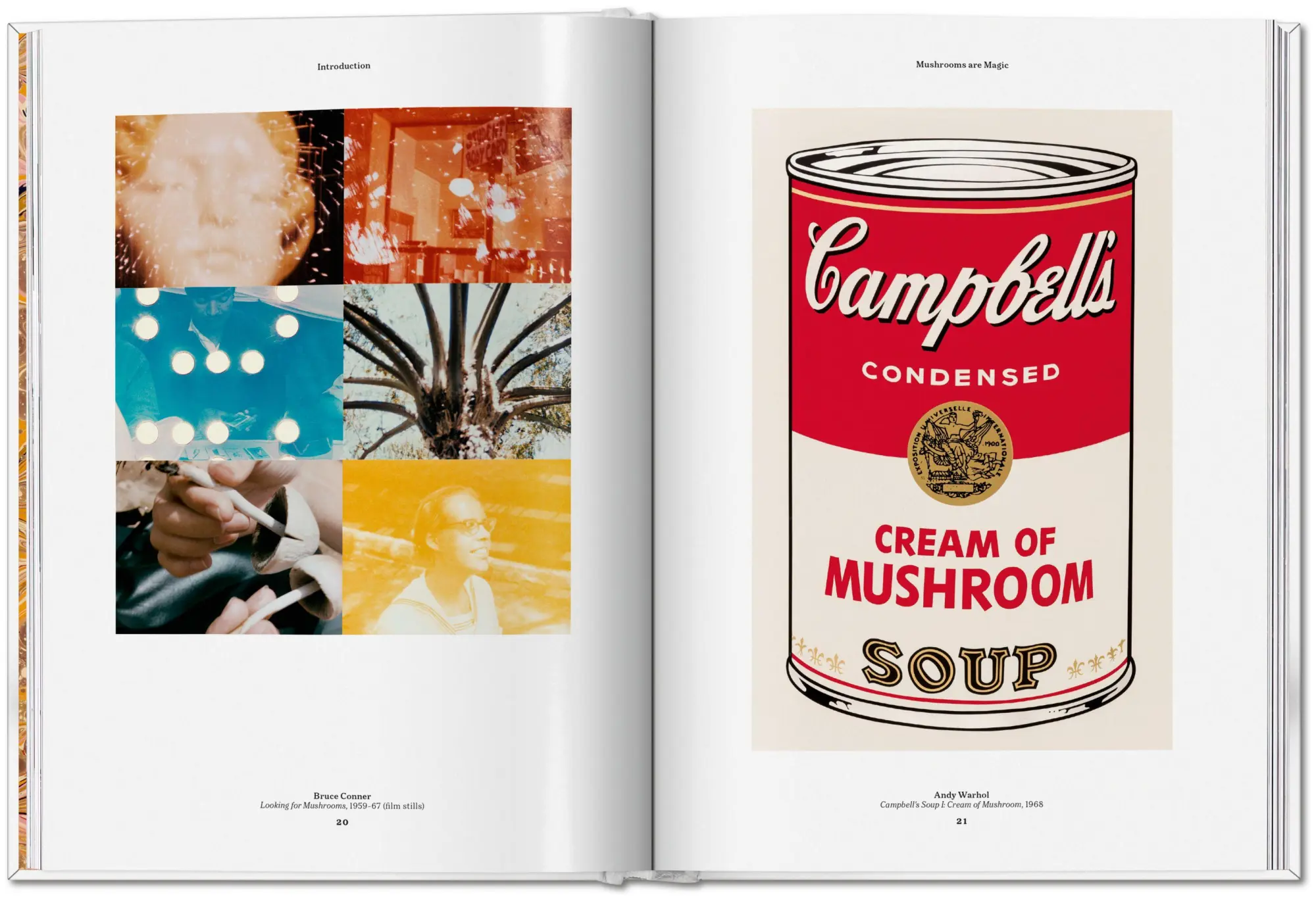 Bild: 9783836586610 | The Gourmand's Mushroom | A Collection of Stories and Recipes | Buch