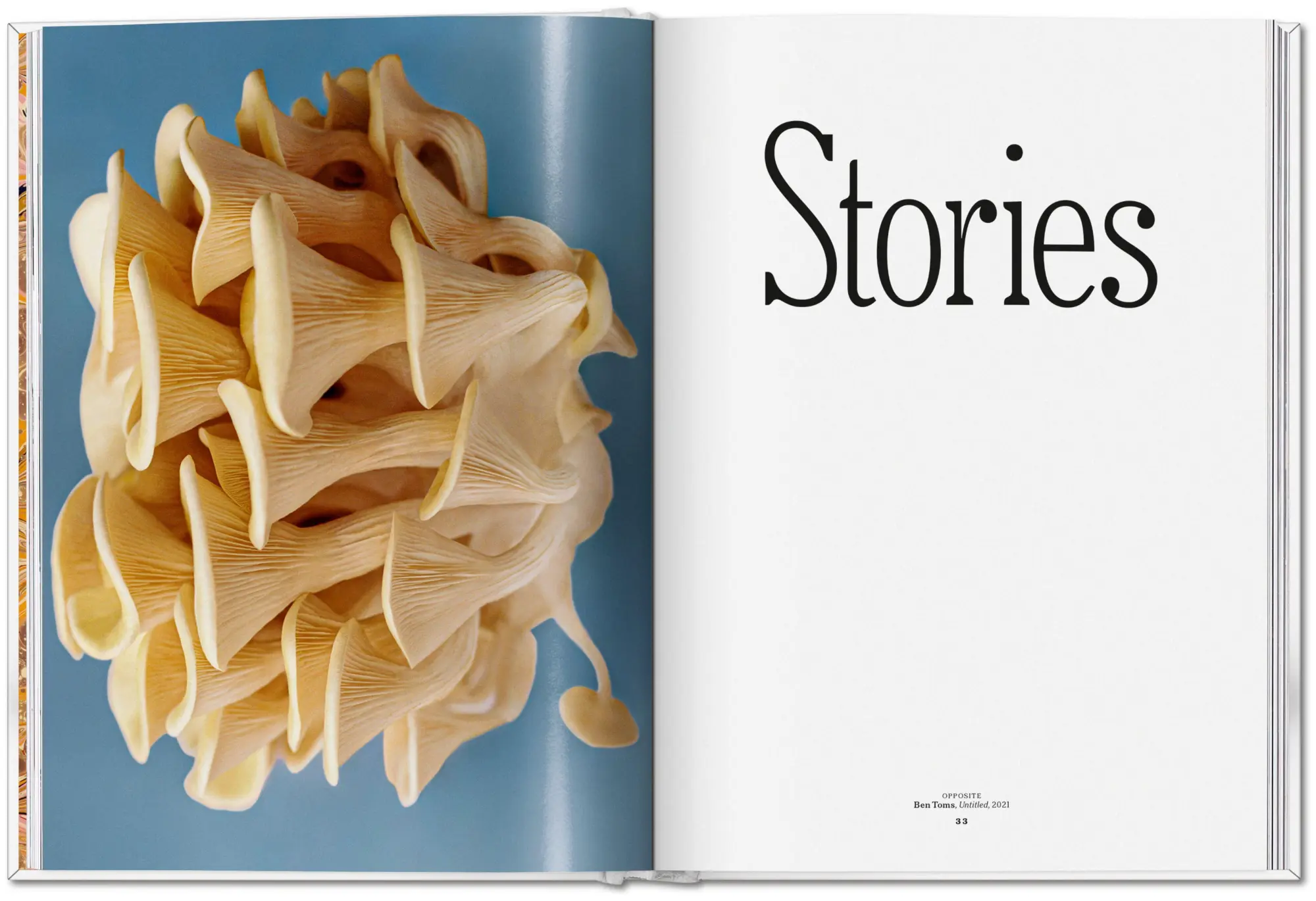 Bild: 9783836586610 | The Gourmand's Mushroom | A Collection of Stories and Recipes | Buch