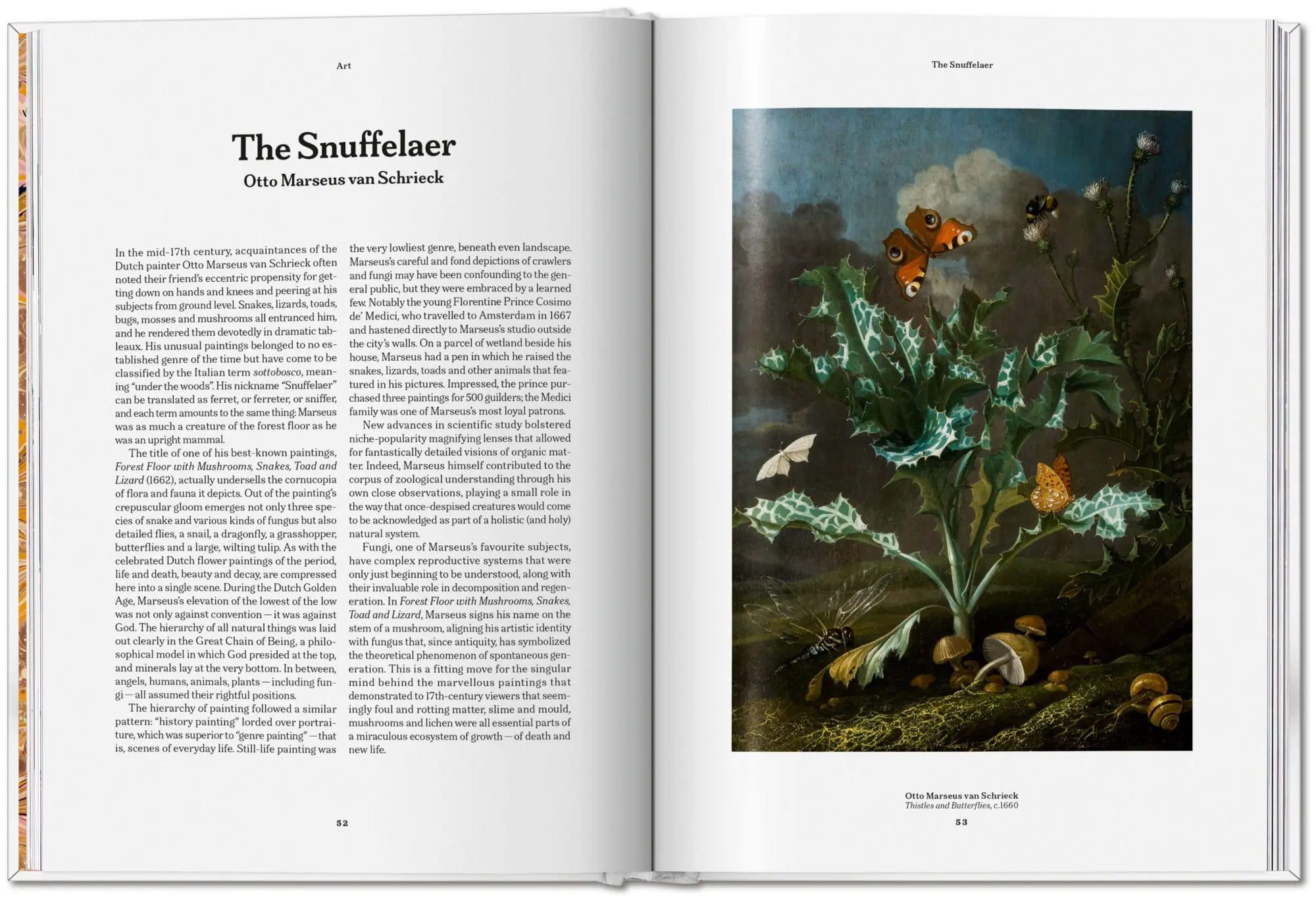 Bild: 9783836586610 | The Gourmand's Mushroom | A Collection of Stories and Recipes | Buch