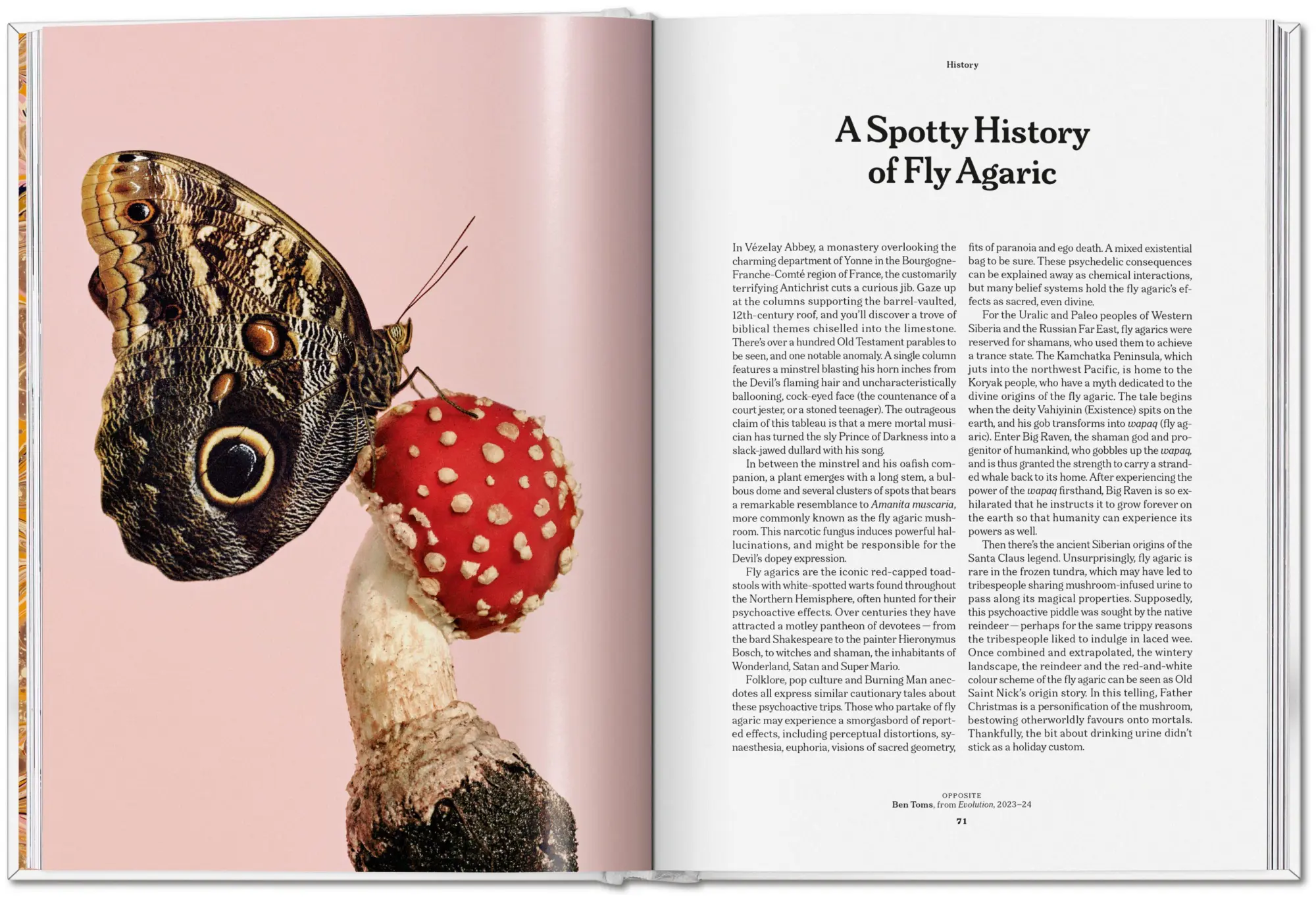 Bild: 9783836586610 | The Gourmand's Mushroom | A Collection of Stories and Recipes | Buch