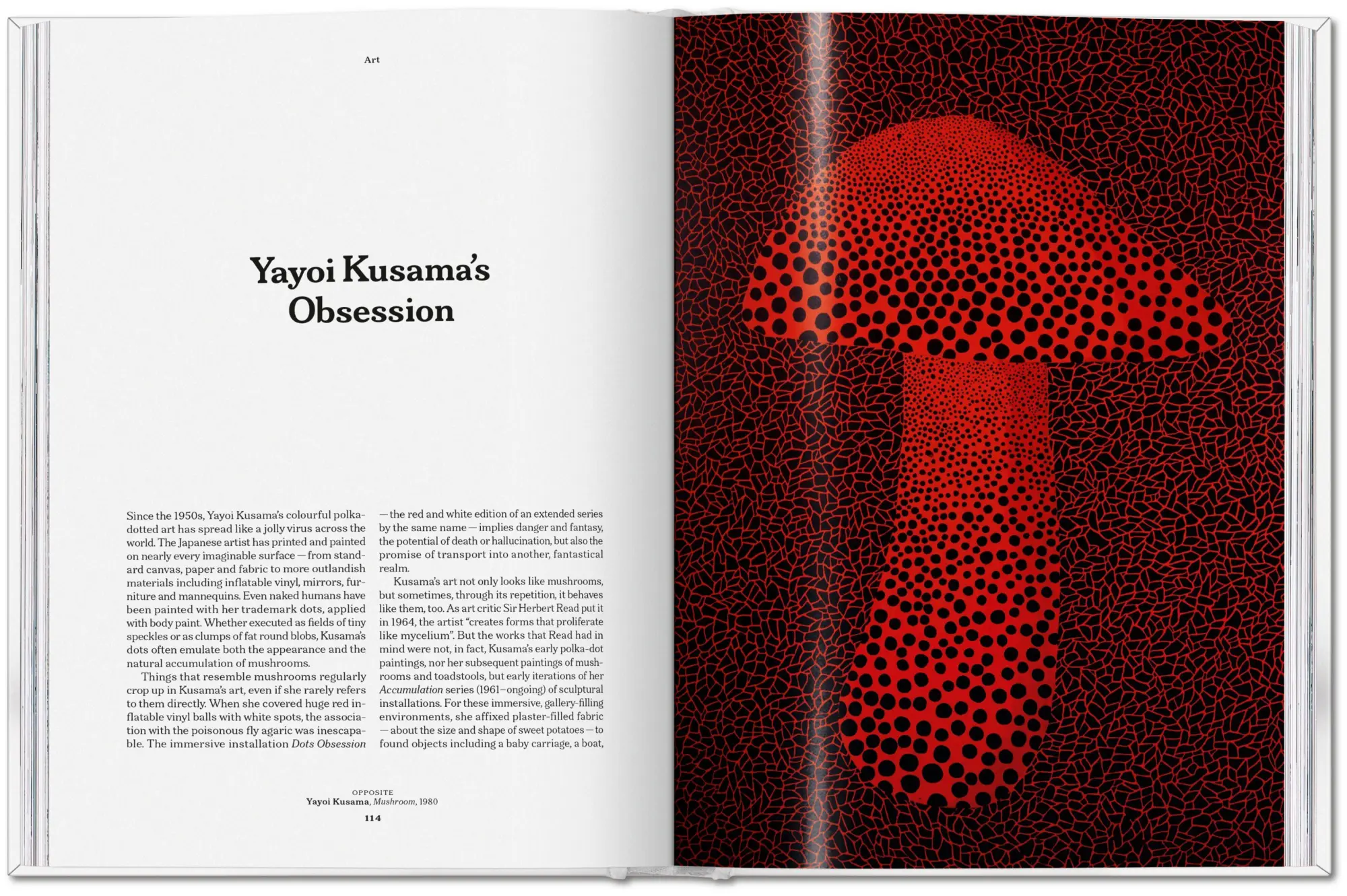 Bild: 9783836586610 | The Gourmand's Mushroom | A Collection of Stories and Recipes | Buch