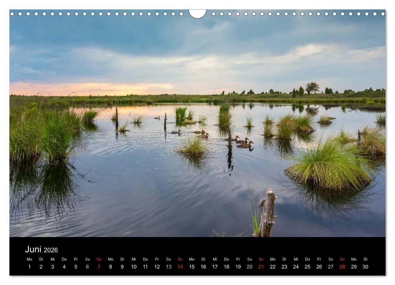 Bild: 9783516016710 | HOHES VENN - Einblicke in ein Hochmoor (Wandkalender 2026 DIN A3...