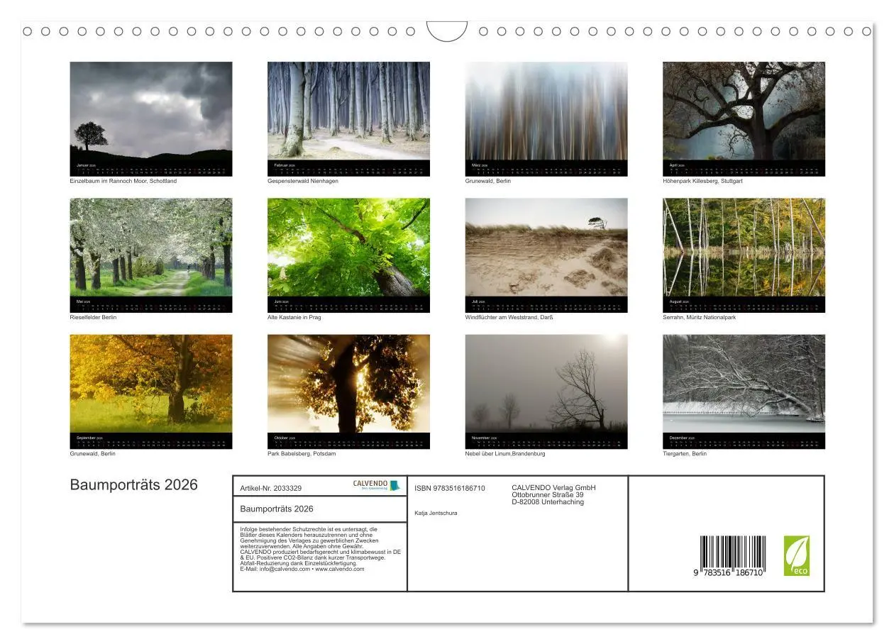 Bild: 9783516186710 | Baumporträts 2026 (Wandkalender 2026 DIN A3 quer), CALVENDO...