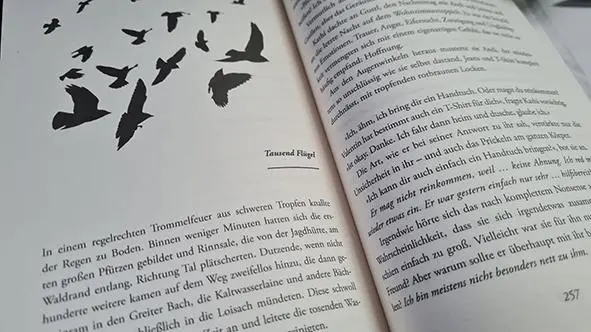 Bild: 9783944936710 | Krähennacht | Alpen Mystery | Alexandra Kolb | Taschenbuch | 330 S.