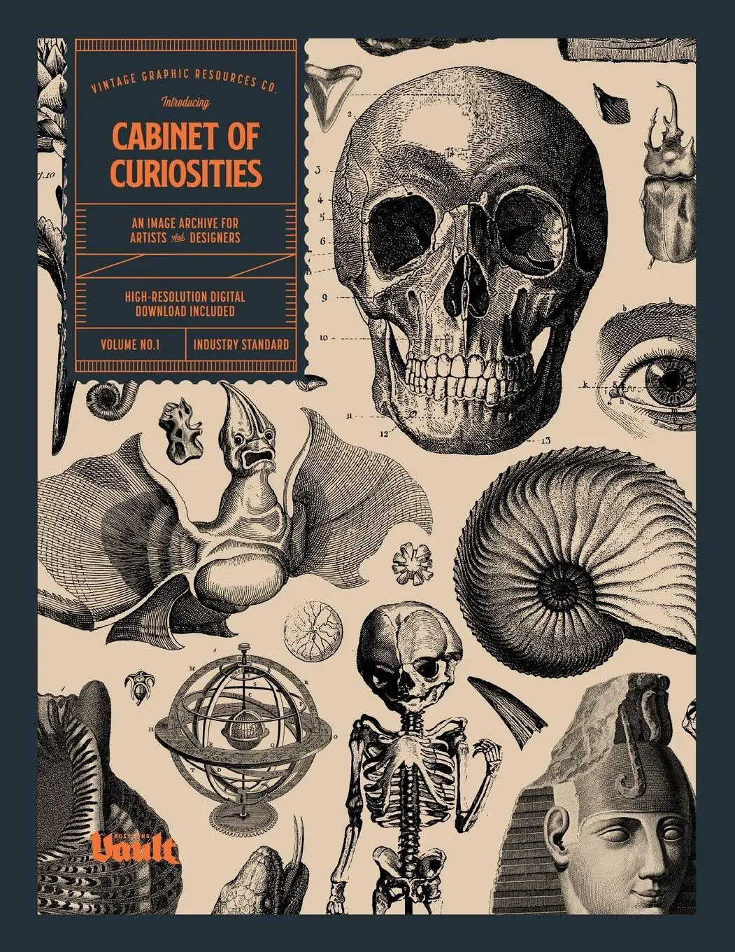 Cover: 9781922966810 | Cabinet of Curiosities | Kale James | Taschenbuch | Englisch | 2026