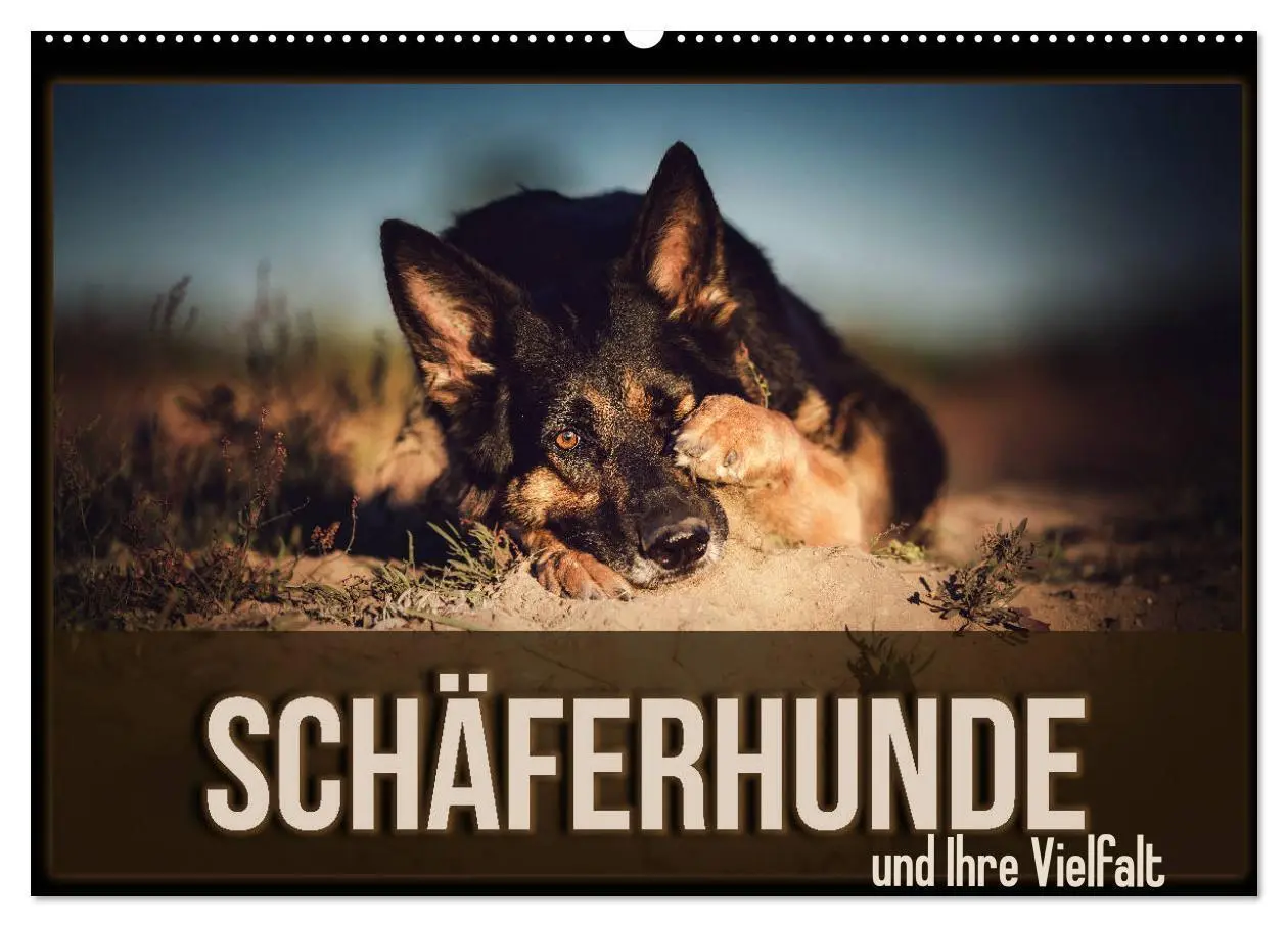Cover: 9783457846810 | Schäferhunde und Ihre Vielfalt (Wandkalender 2026 DIN A2 quer),...