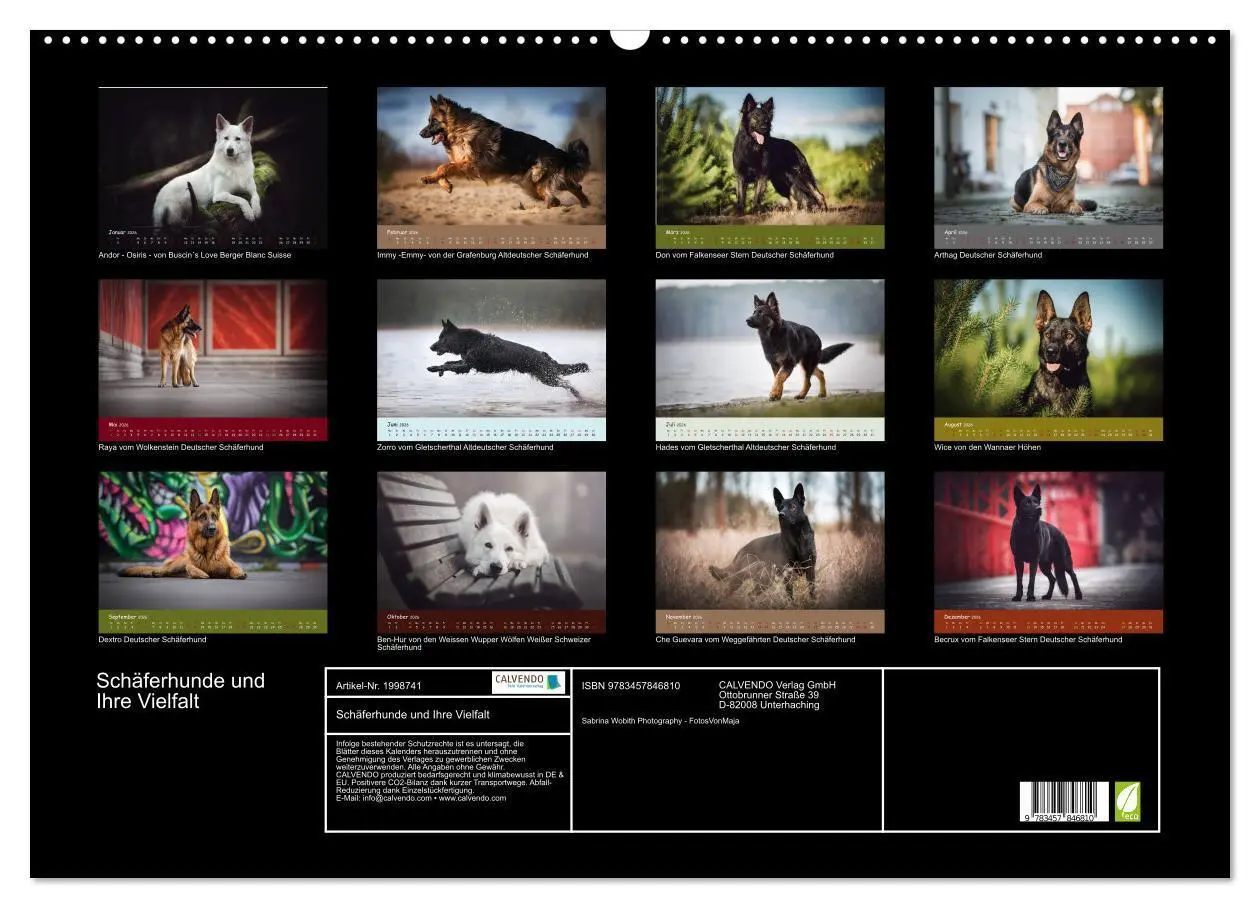 Bild: 9783457846810 | Schäferhunde und Ihre Vielfalt (Wandkalender 2026 DIN A2 quer),...
