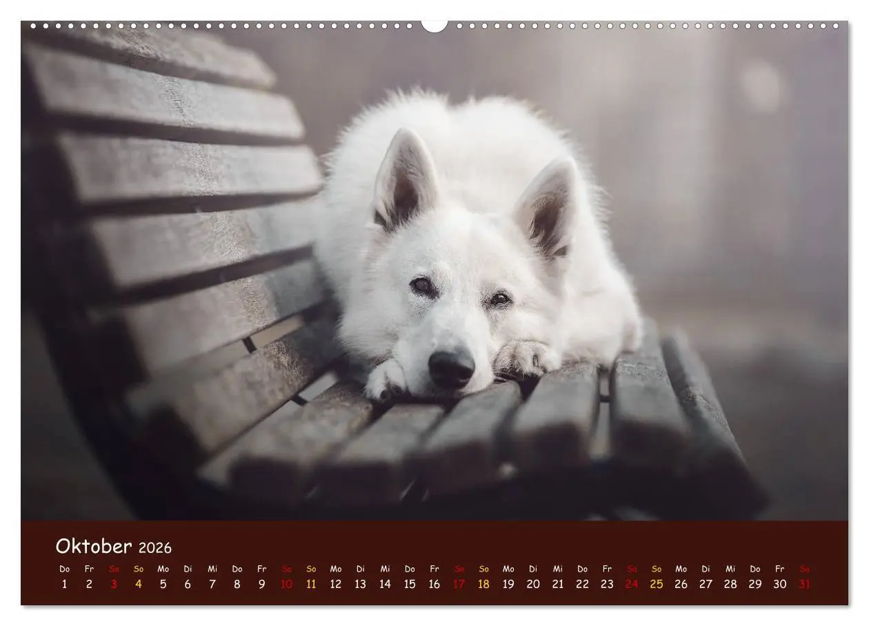 Bild: 9783457846810 | Schäferhunde und Ihre Vielfalt (Wandkalender 2026 DIN A2 quer),...
