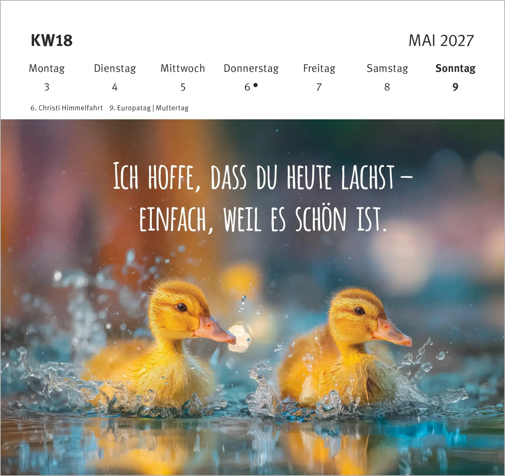 Bild: 4069095016910 | Wünsche, die dich begleiten - Tag für Tag 2027 | KG | Kalender | 55 S.