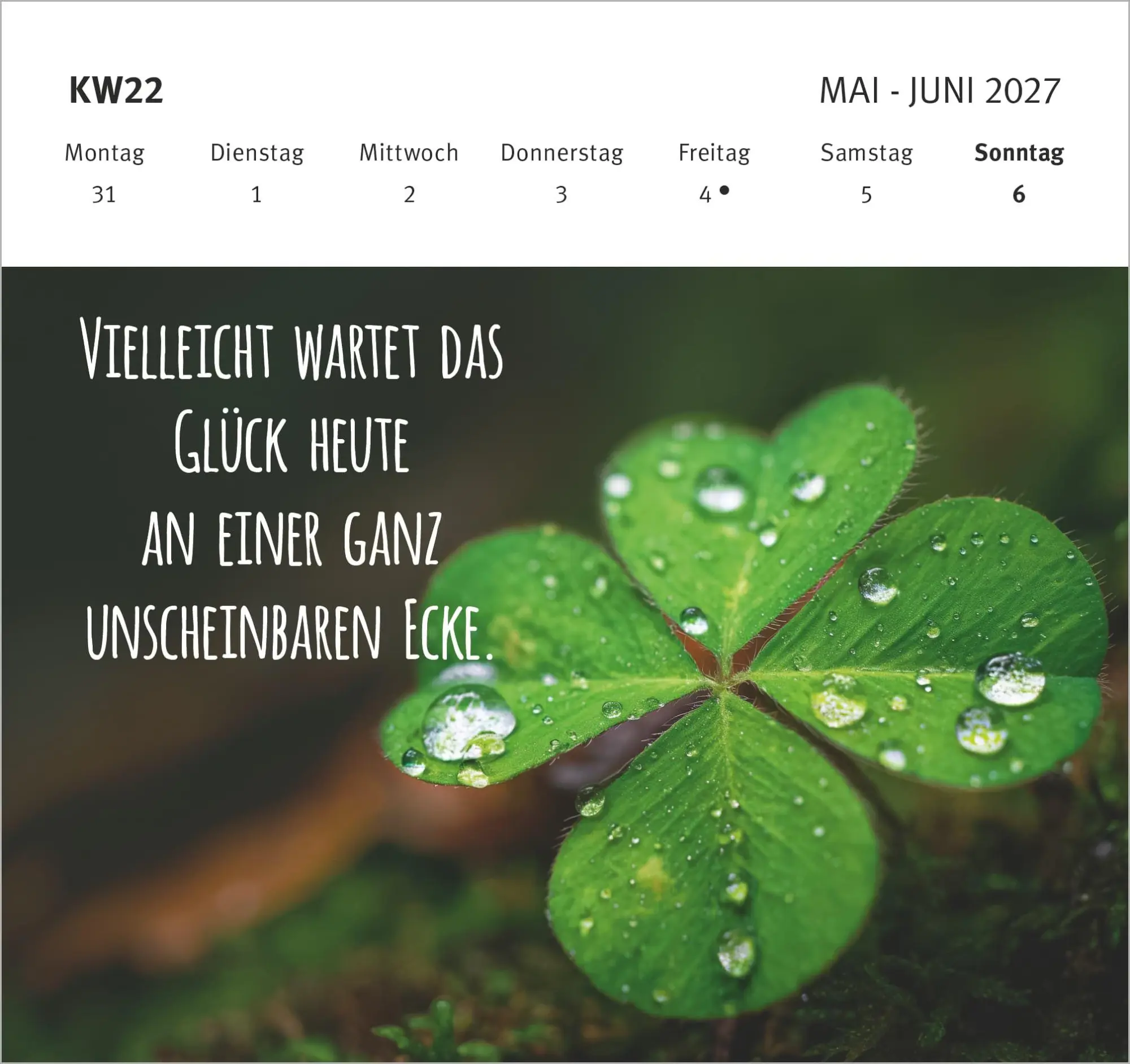 Bild: 4069095016910 | Wünsche, die dich begleiten - Tag für Tag 2027 | KG | Kalender | 55 S.