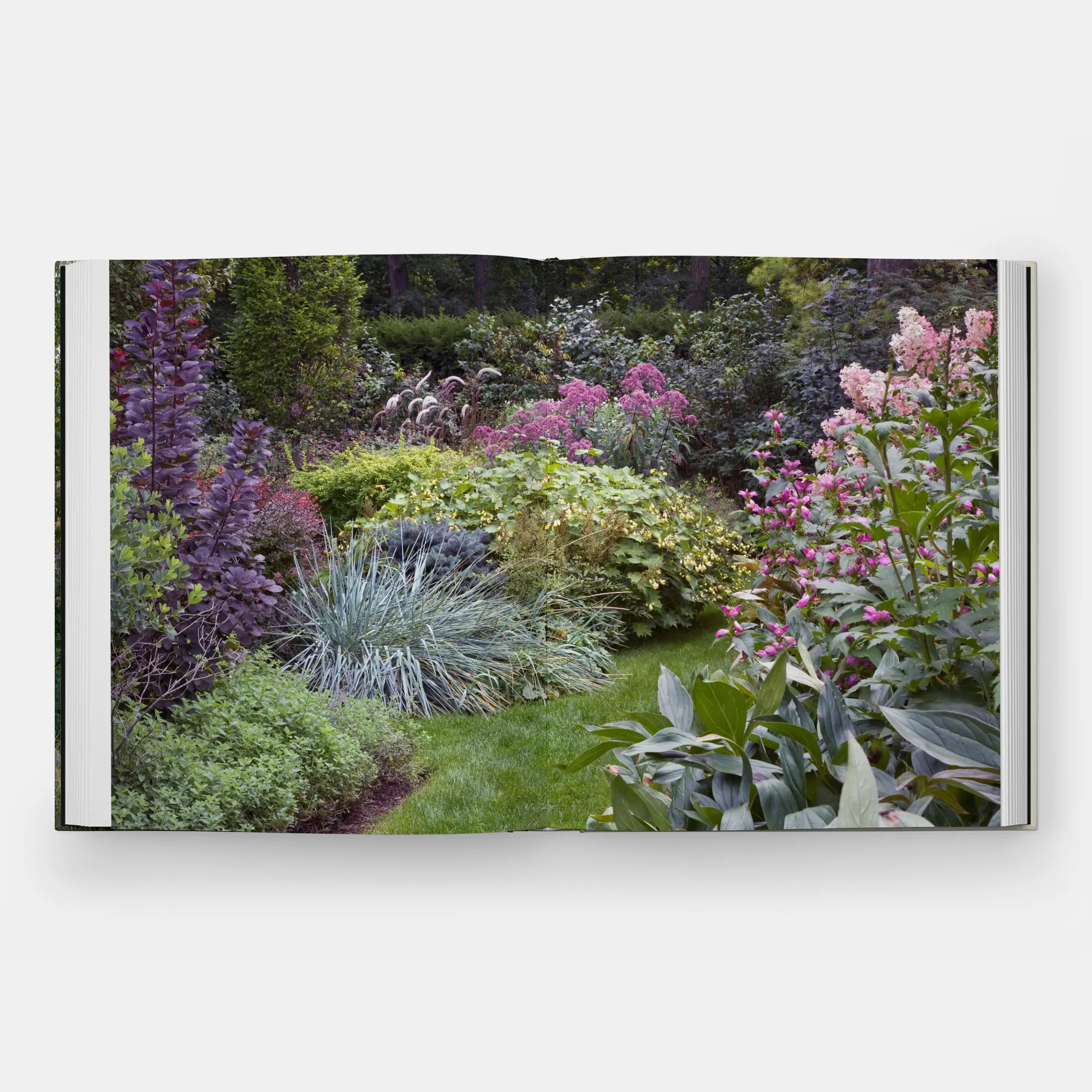 Bild: 9781580936910 | The Art of Fine Gardening | Craig Bergmann Landscape Design | Buch