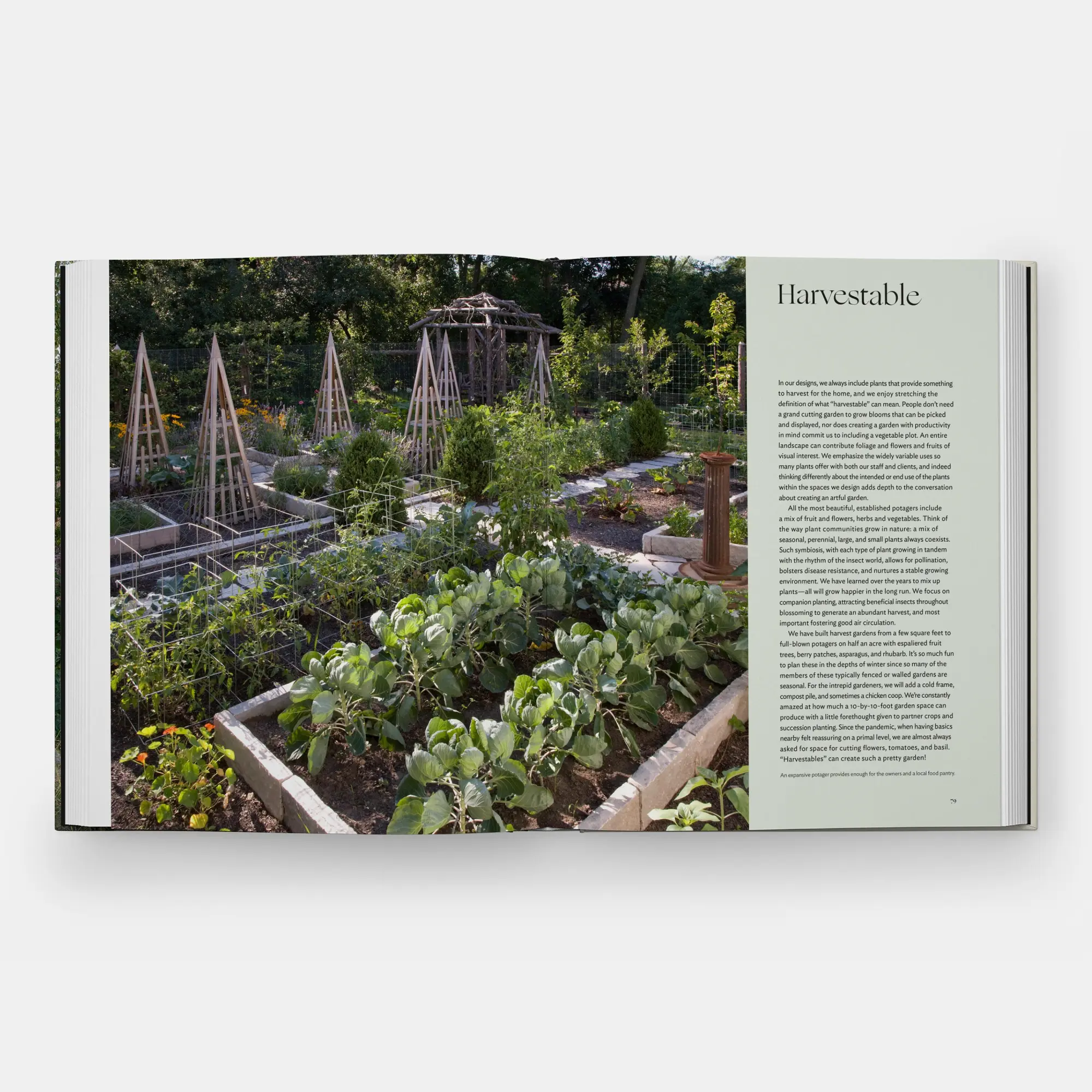 Bild: 9781580936910 | The Art of Fine Gardening | Craig Bergmann Landscape Design | Buch
