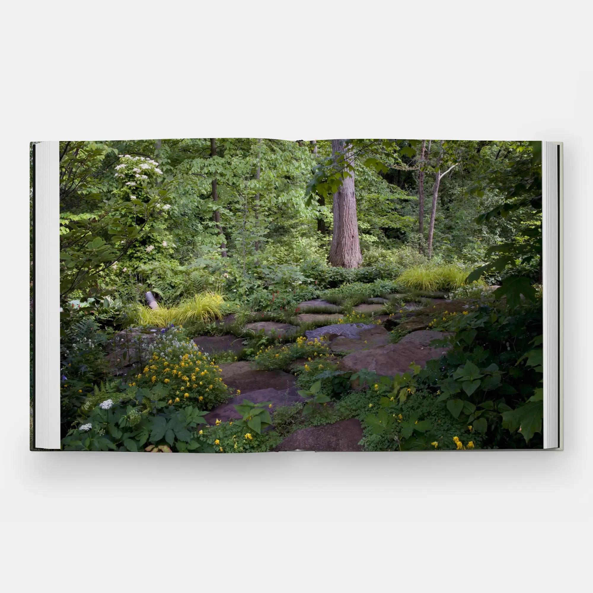 Bild: 9781580936910 | The Art of Fine Gardening | Craig Bergmann Landscape Design | Buch