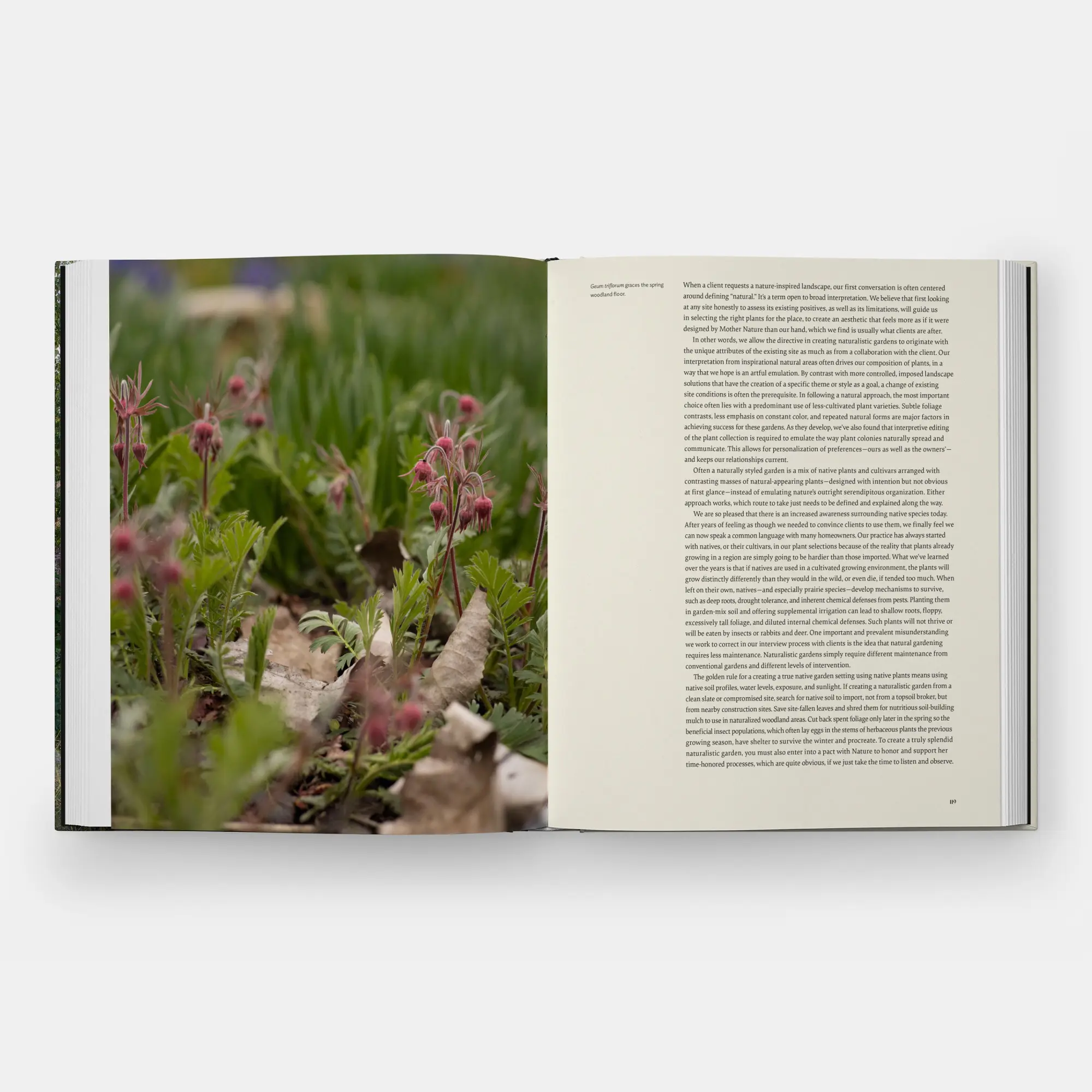 Bild: 9781580936910 | The Art of Fine Gardening | Craig Bergmann Landscape Design | Buch