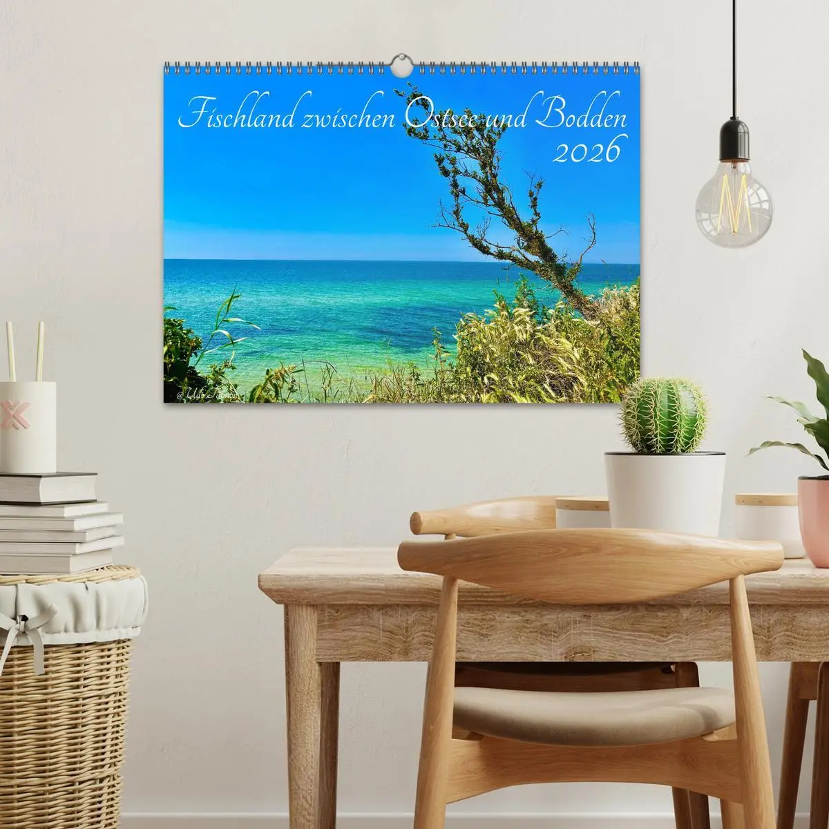 Bild: 9783457386910 | Fischland zwischen Ostsee und Bodden (Wandkalender 2026 DIN A3...