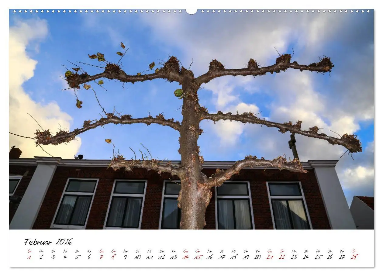 Bild: 9783457906910 | Das Seebad Domburg (Wandkalender 2026 DIN A2 quer), CALVENDO...