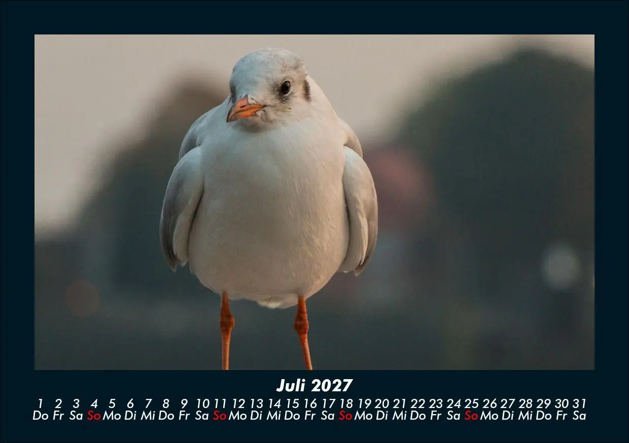 Bild: 9783695436910 | Hamburg 2027 Fotokalender DIN A5 | Tobias Schmitt (u. a.) | Kalender