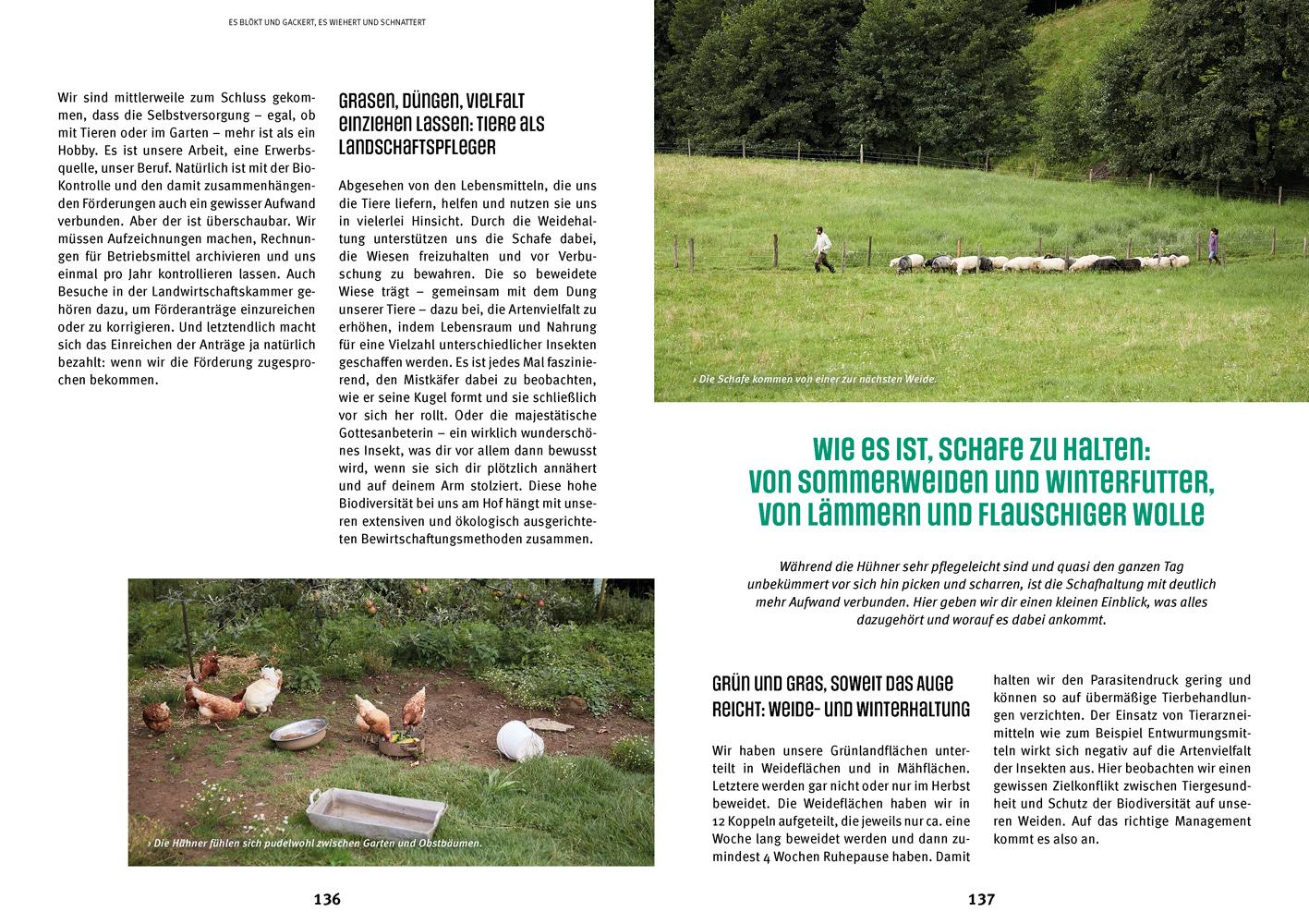 Bild: 9783706626910 | Einfach alles teilen? | Unser Leben im Kollektiv | Wieserhoisl | Buch