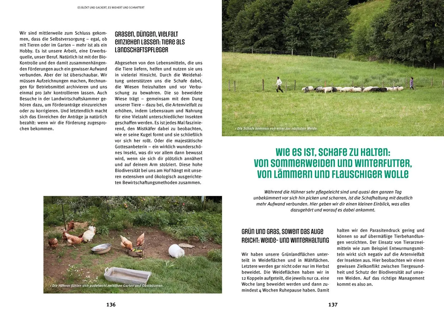 Bild: 9783706626910 | Einfach alles teilen? | Unser Leben im Kollektiv | Wieserhoisl | Buch